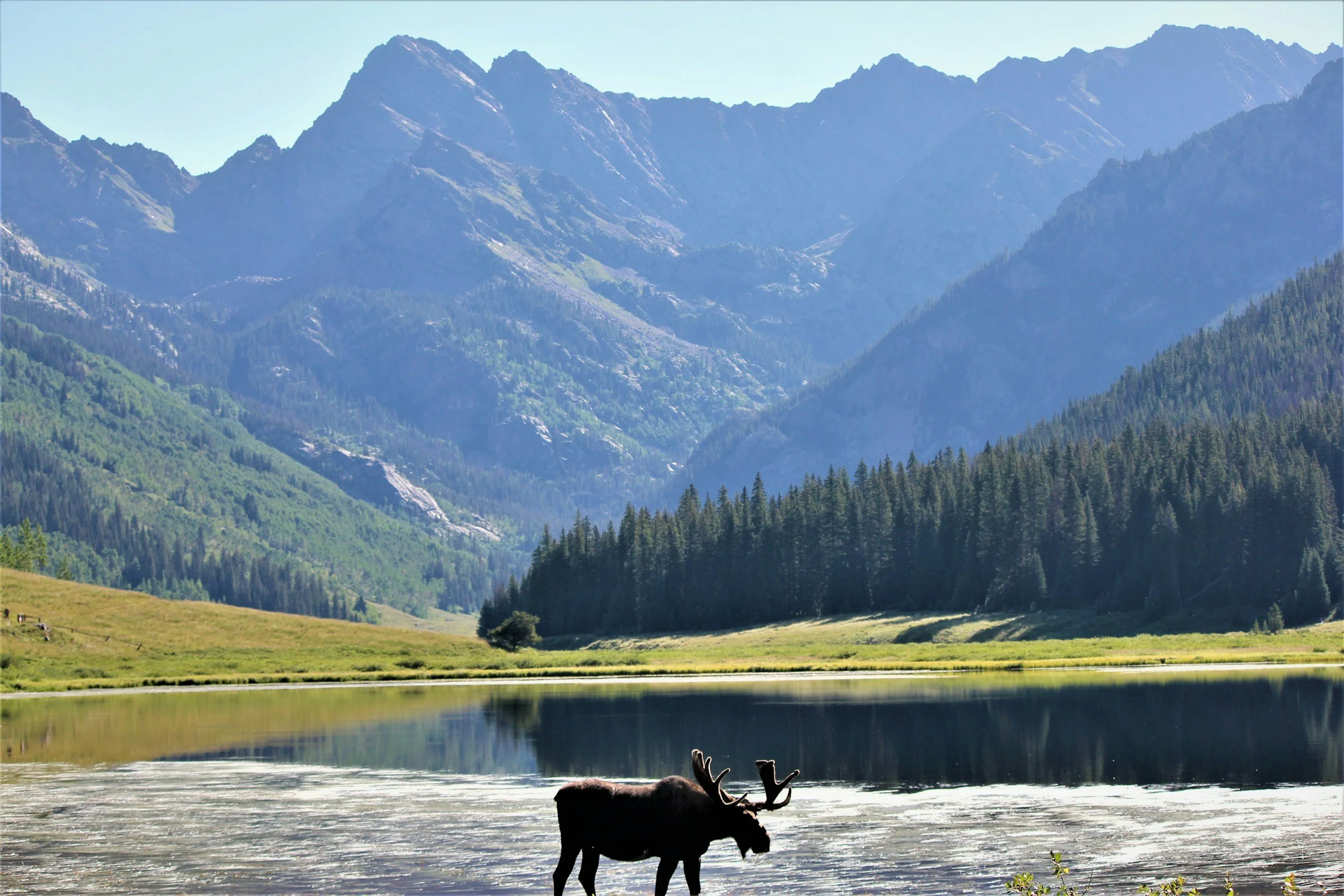Banff Twilight Wildlife-Alpine Lakes: Private Sunset Safari