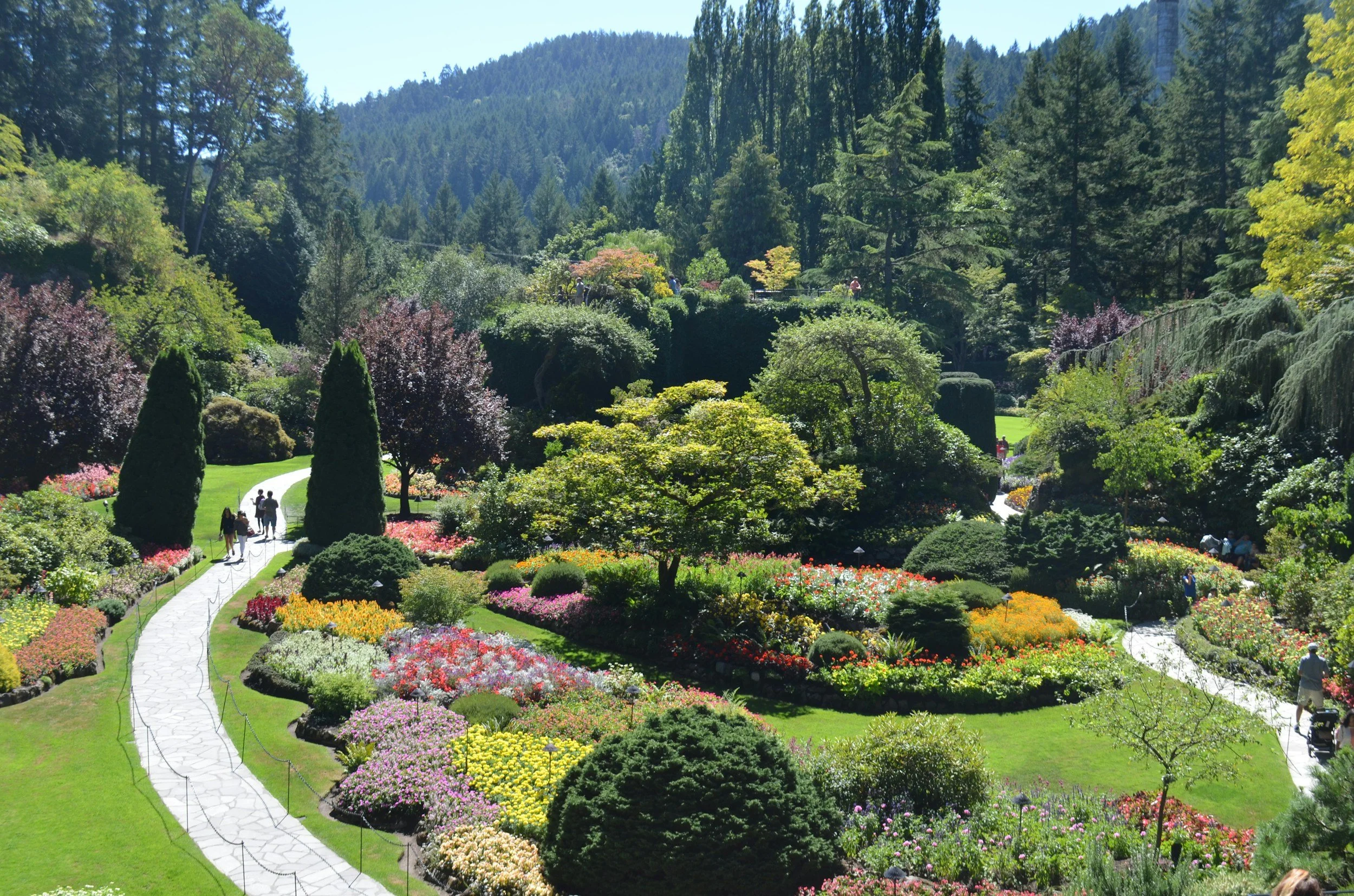 City Tour and Butchart Gardens Combo Tour
