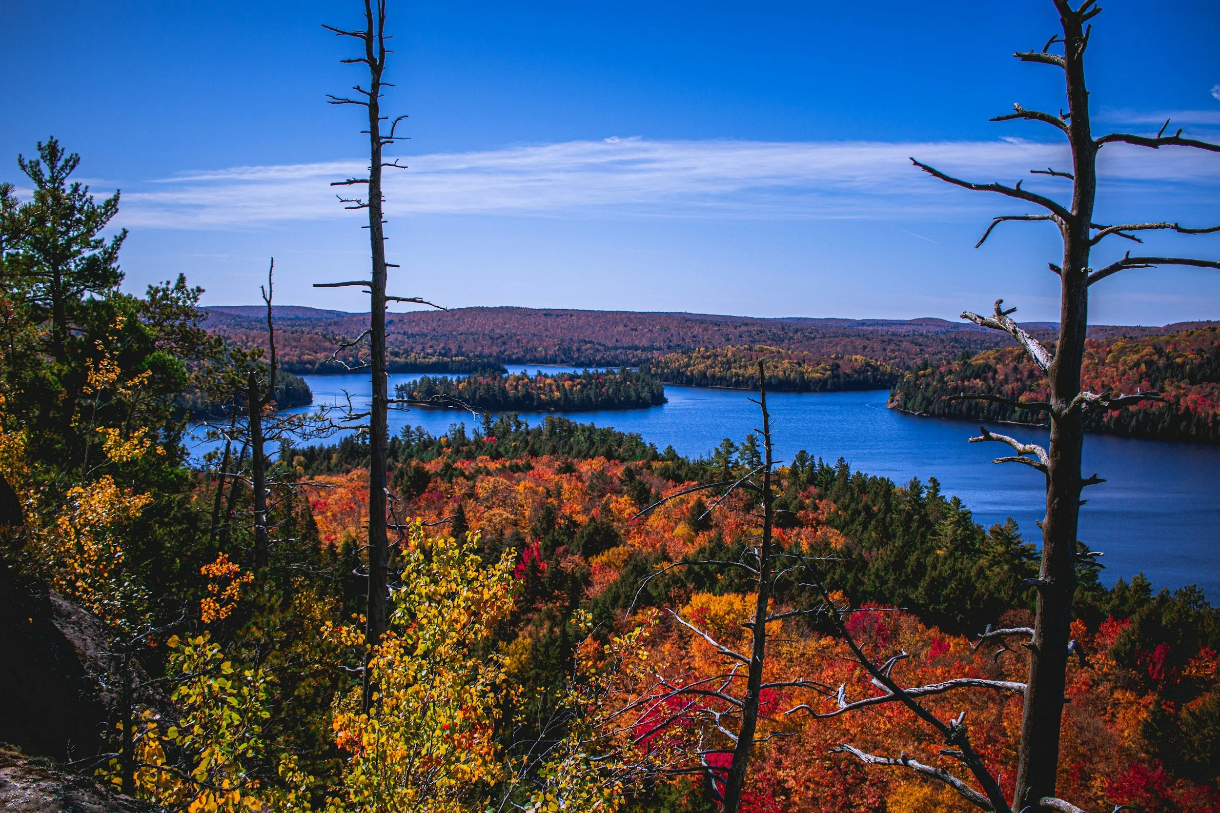 Toronto: Algonquin Park and Ragged Falls Day Trip