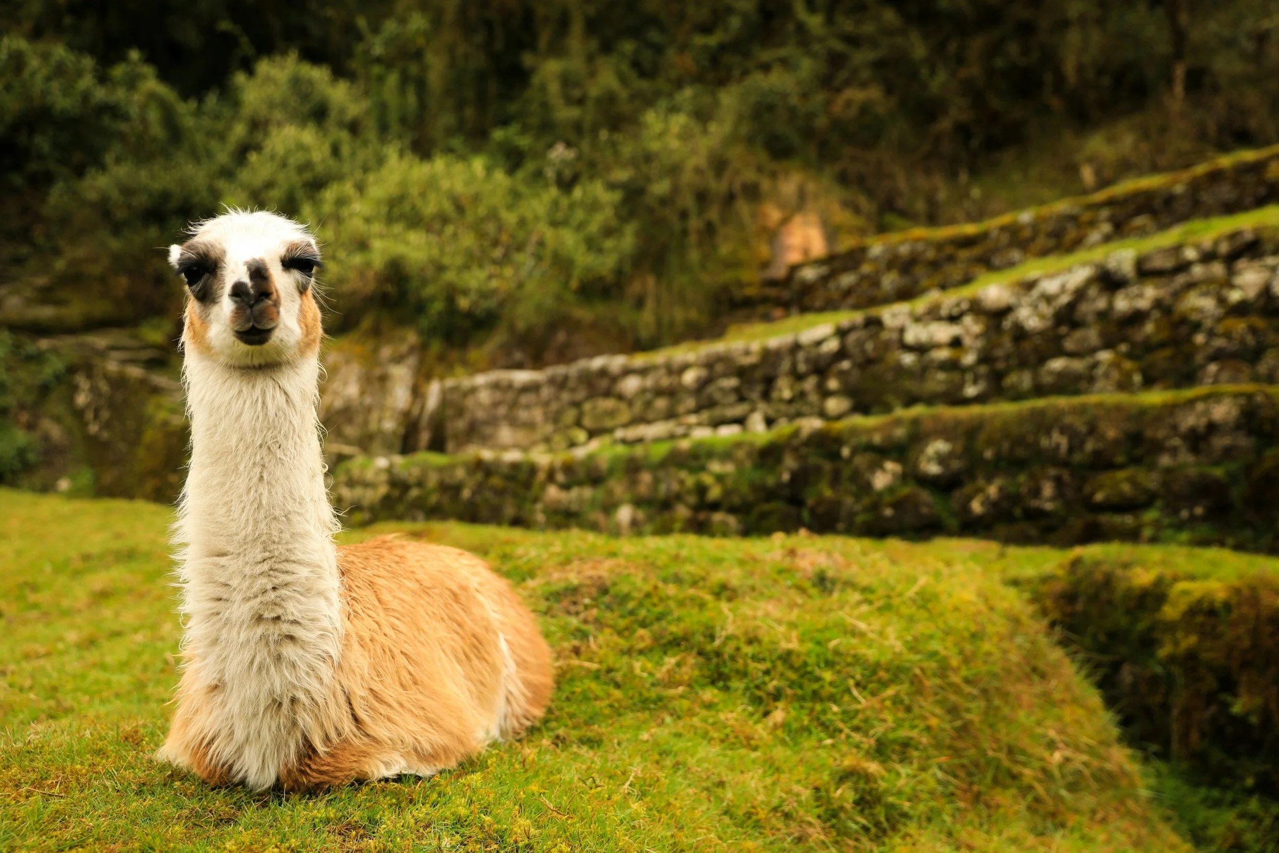 The Inca Journey 10 days