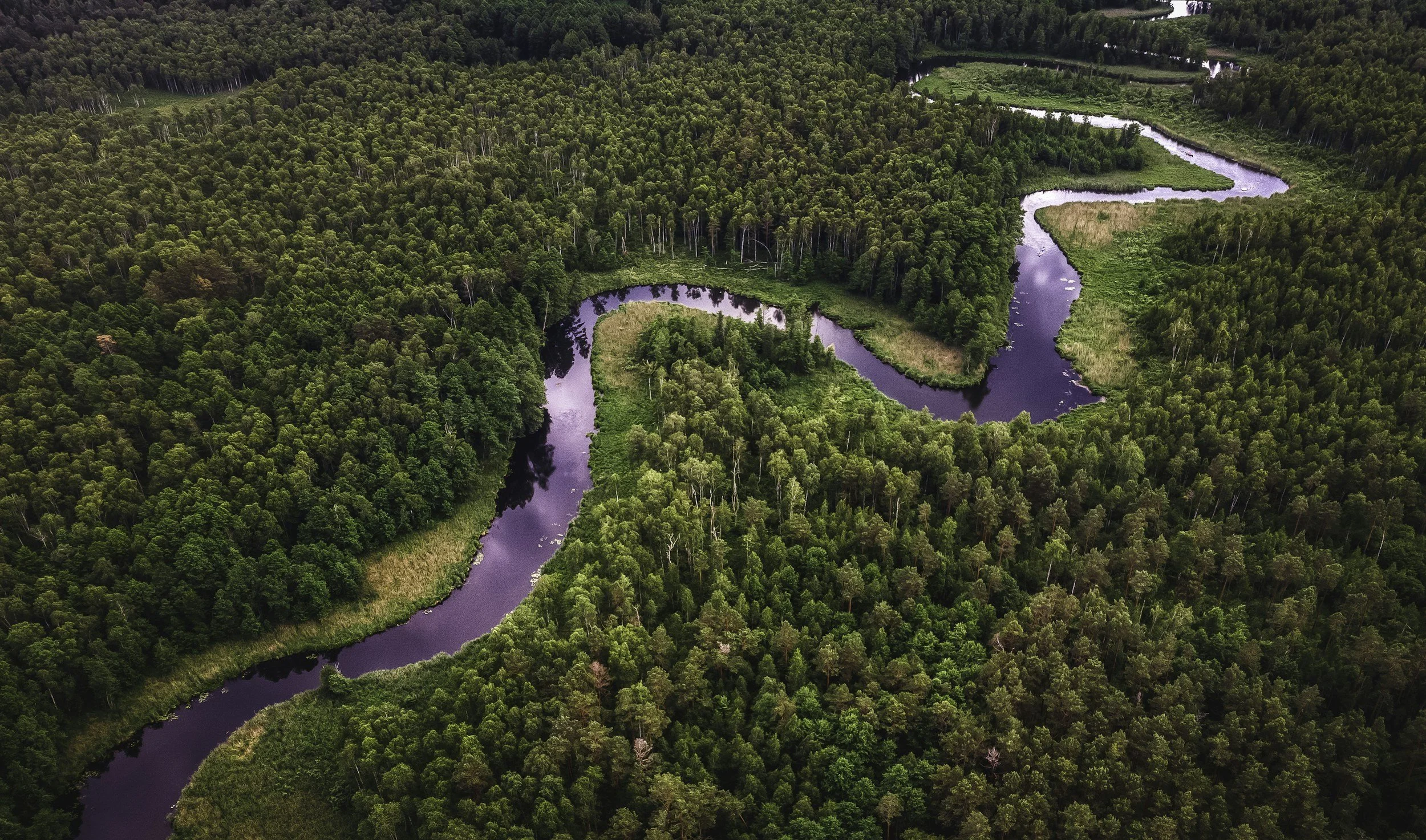Amazon Rainforest Conservation