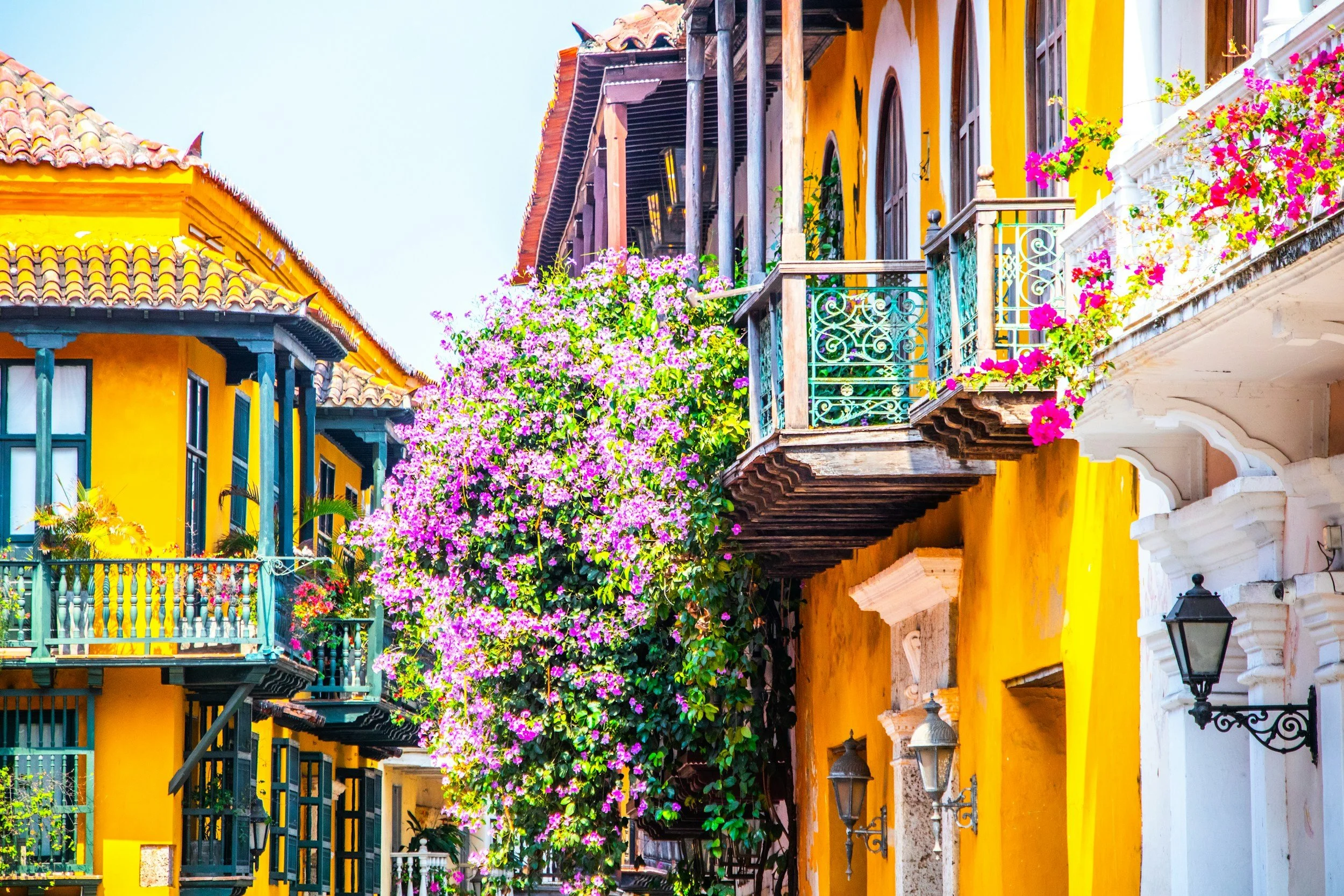 National Geographic Explore Colombia