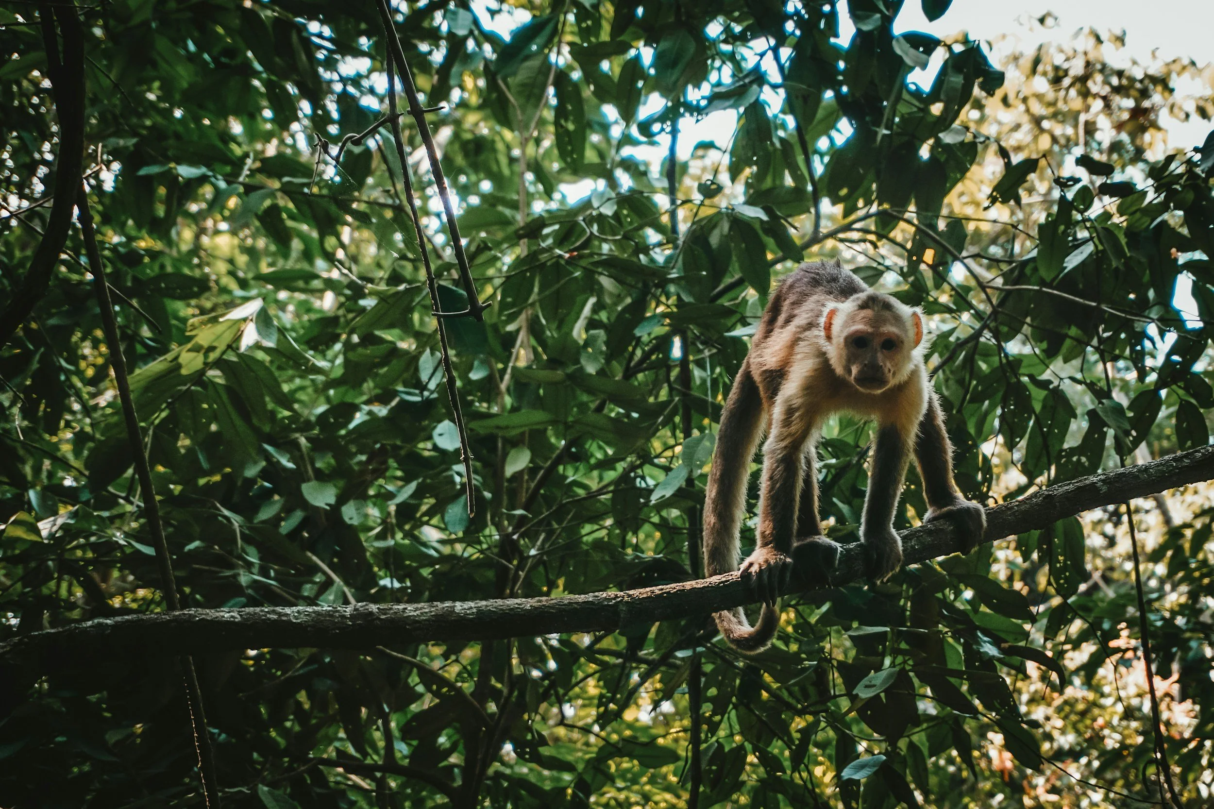 Caribbean Coast & Tayrona National Park