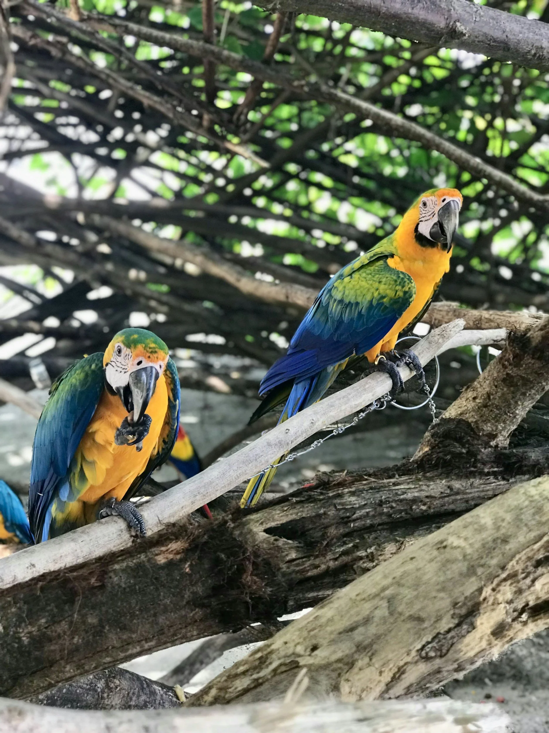 Mountains & Wildlife in a Reserve