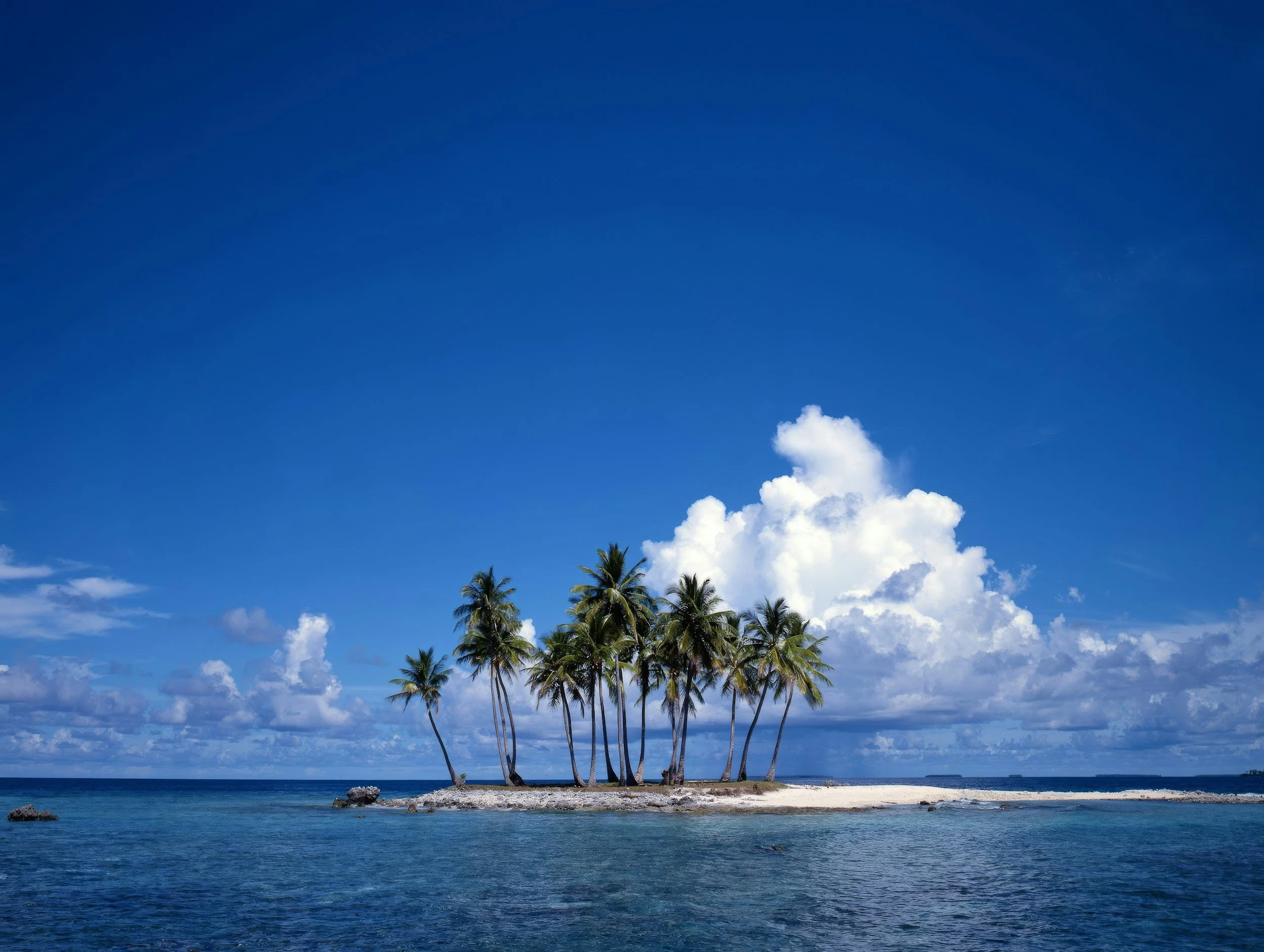 The Best of the South Pacific 38 days, Sydney to Christchurch