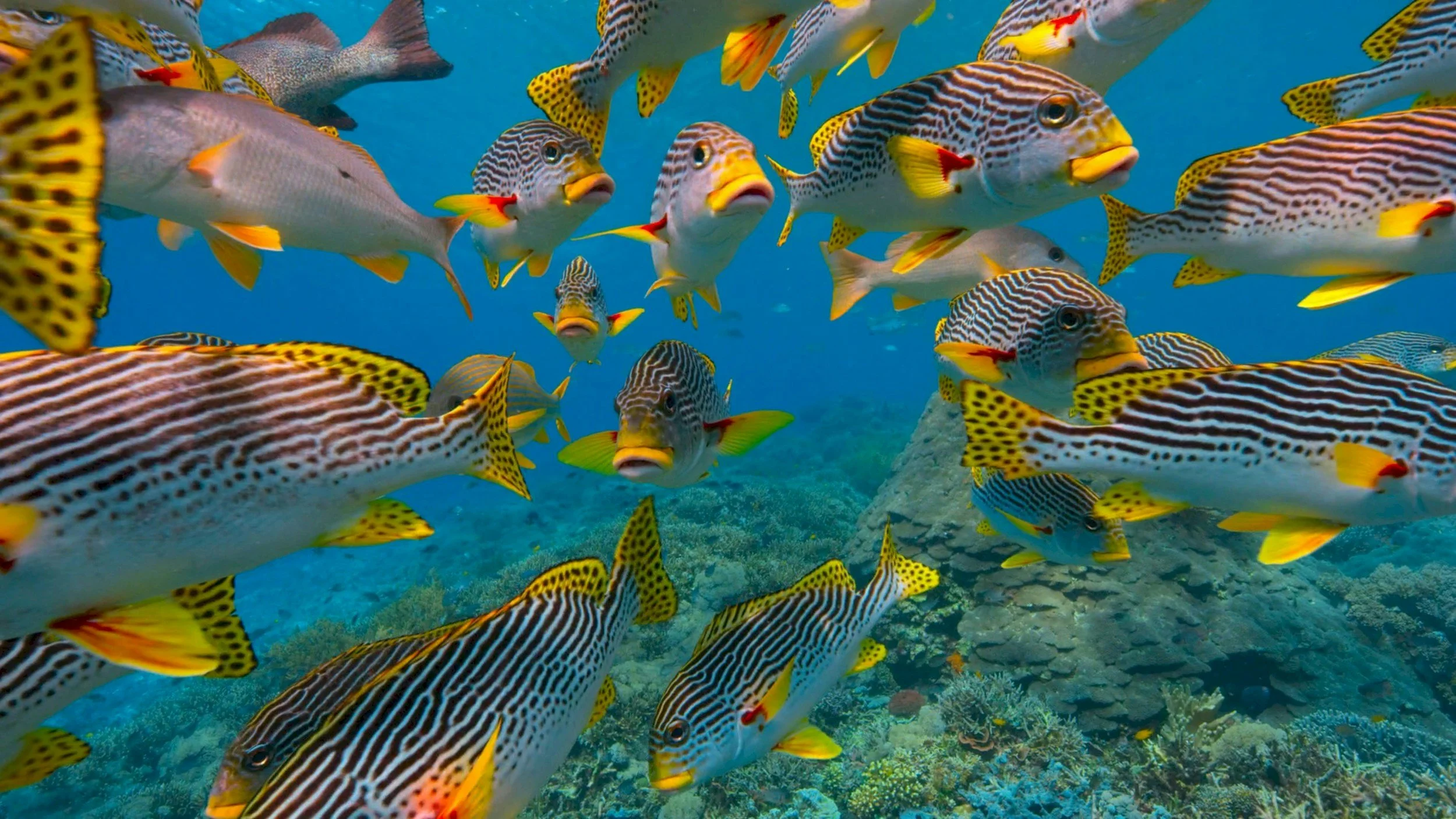 Queensland