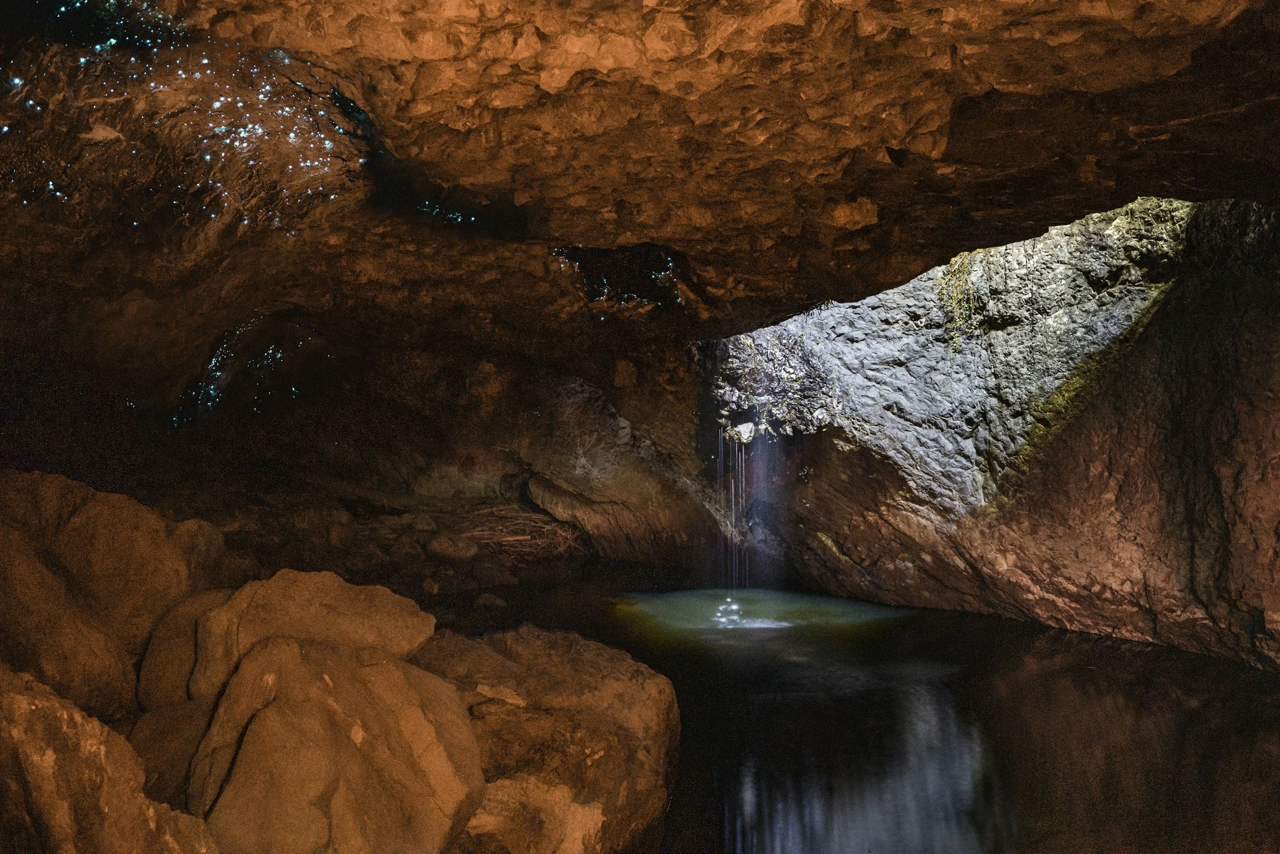 Brisbane Rainforests, Waterfalls and Glow Worm Cave Tour