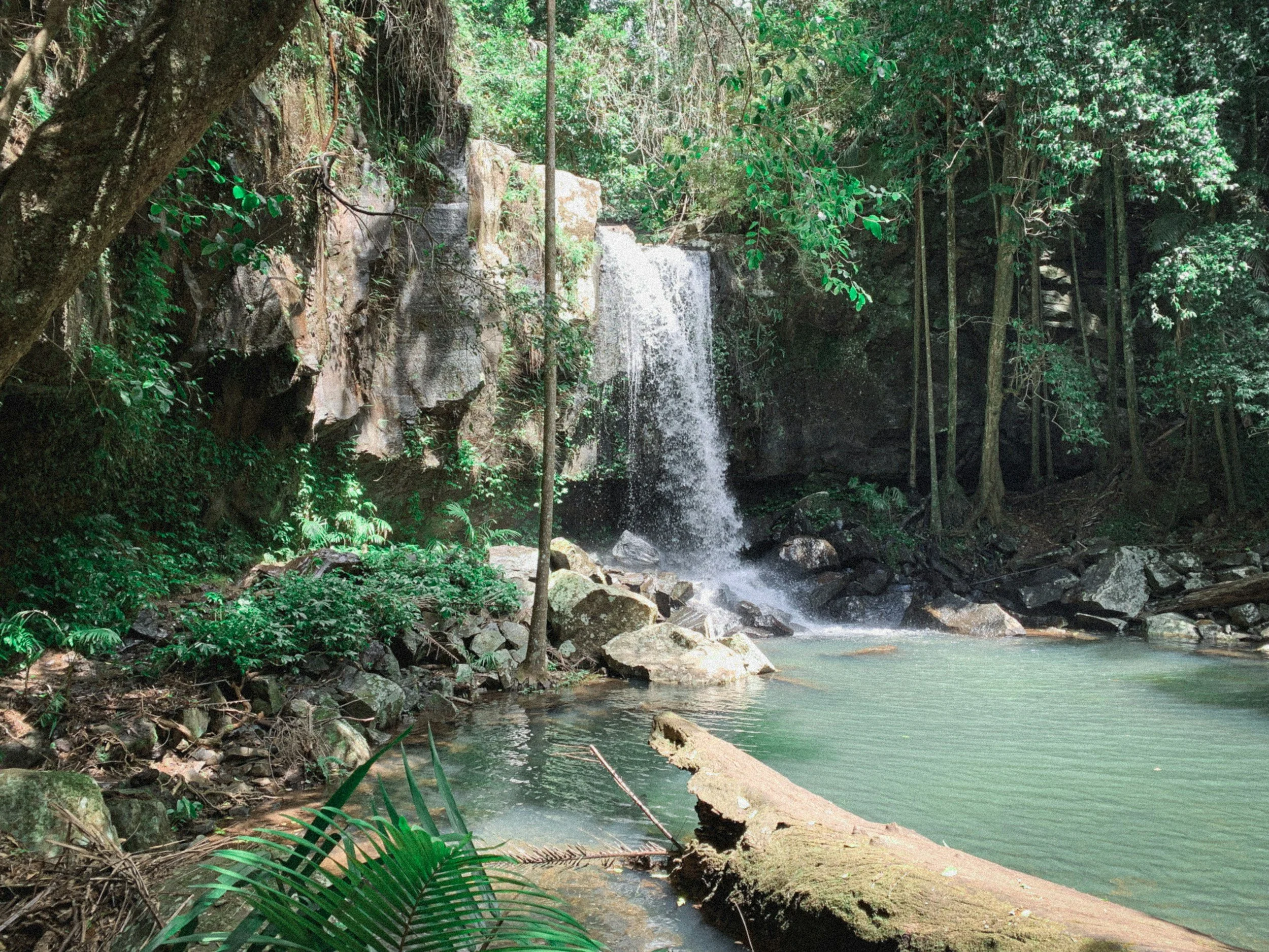 Gold Coast Tamborine Mountain
