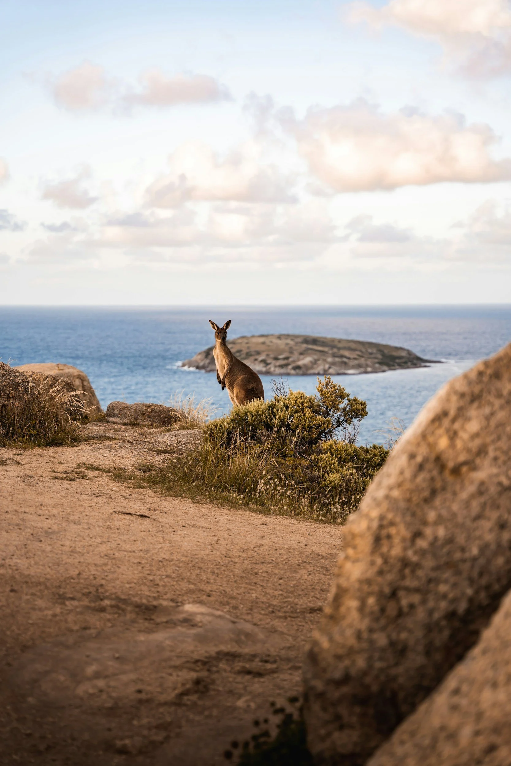  Fleurieu Peninsula