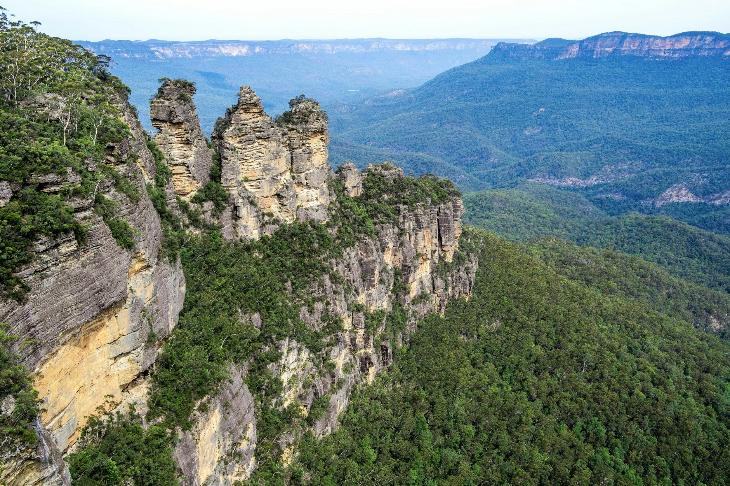 Blue Mountains Steam Train Tour