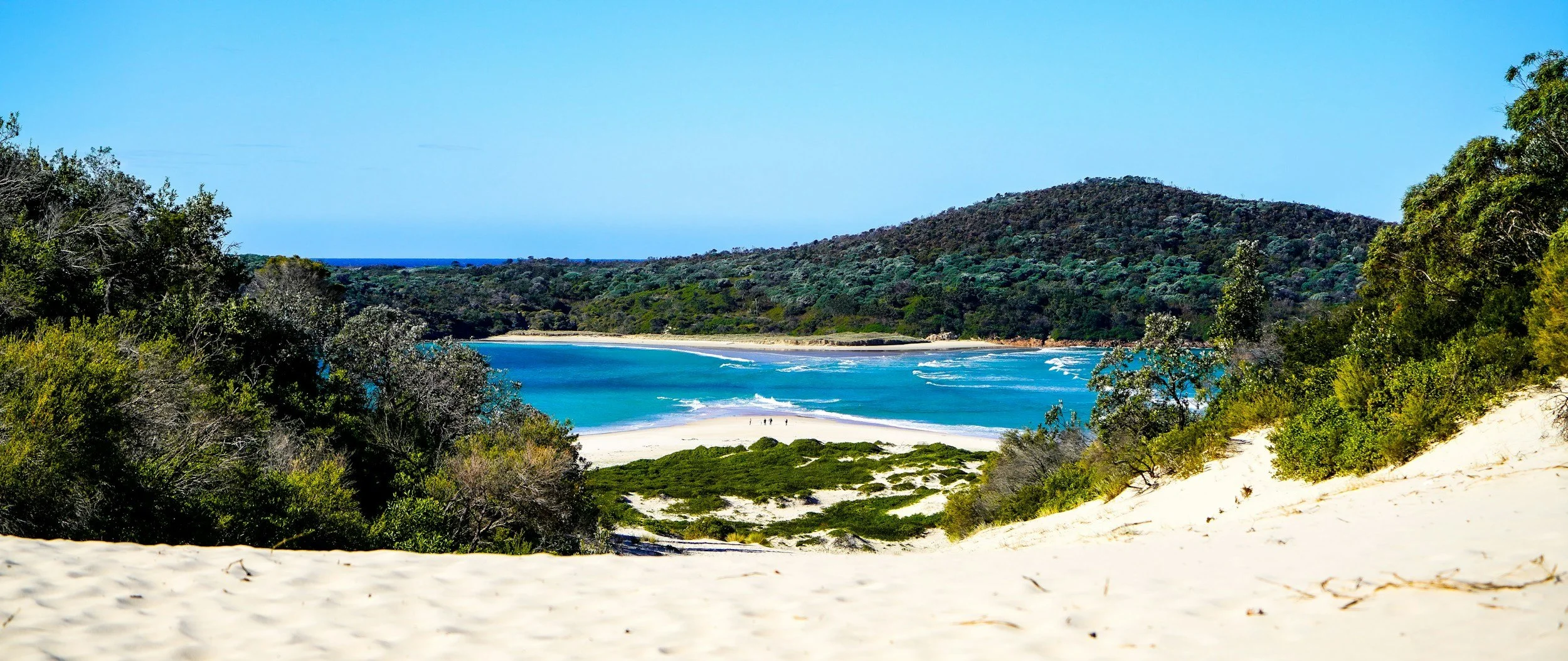 Port Stephens: Dolphin Discovery Cruise