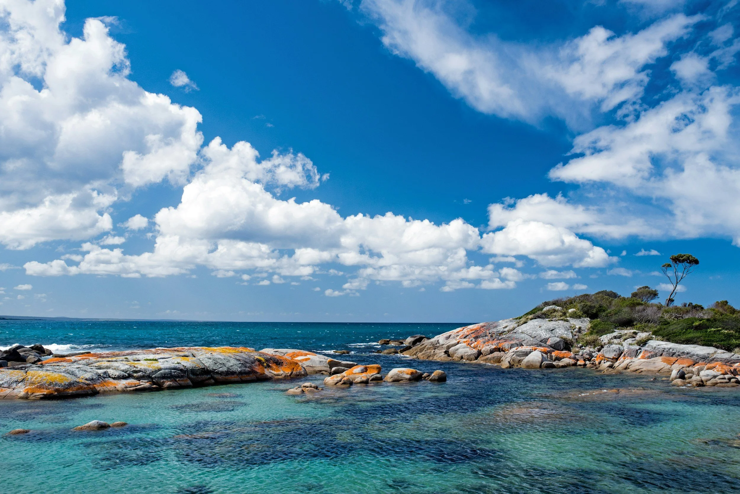  Tasmania West & East Coast Tour