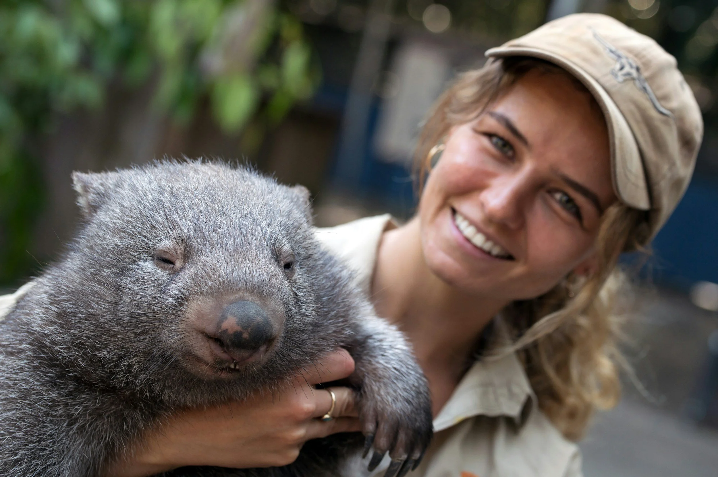 Bonorong Wildlife Sanctuary 