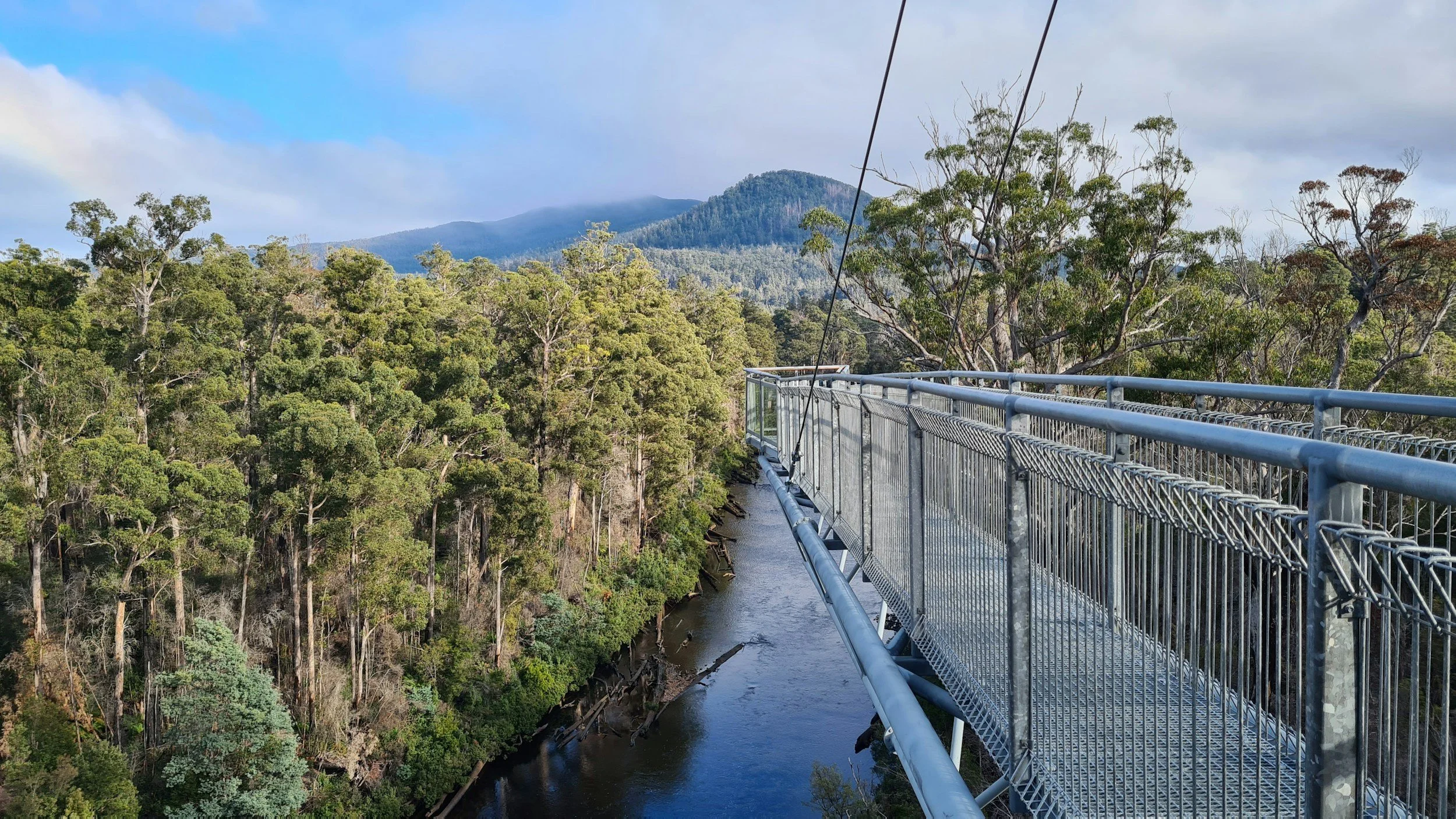 Tahune Airwalk, Hastings Cave & Thermal Springs