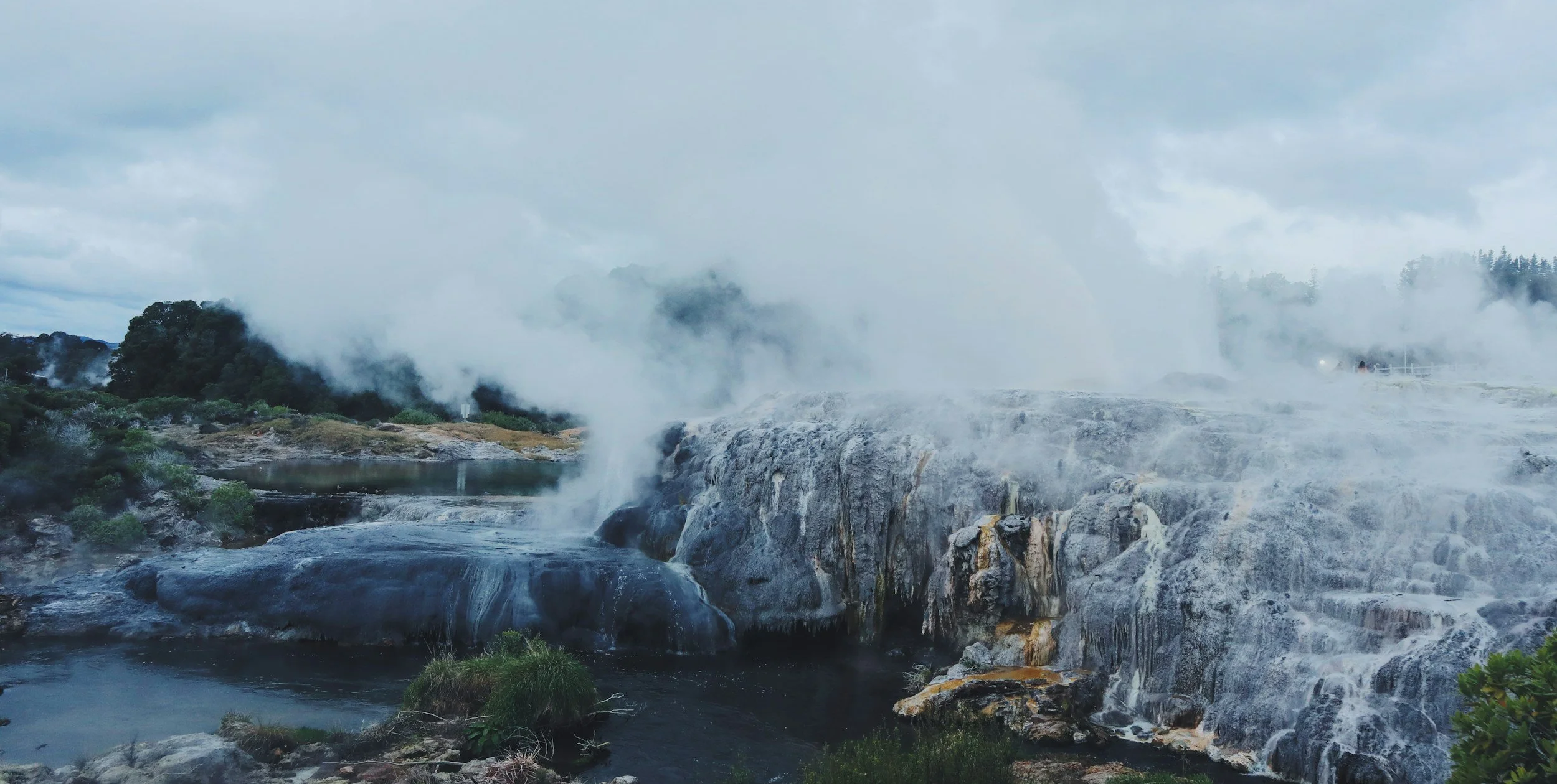 Rotorua Scenic Horse Trek