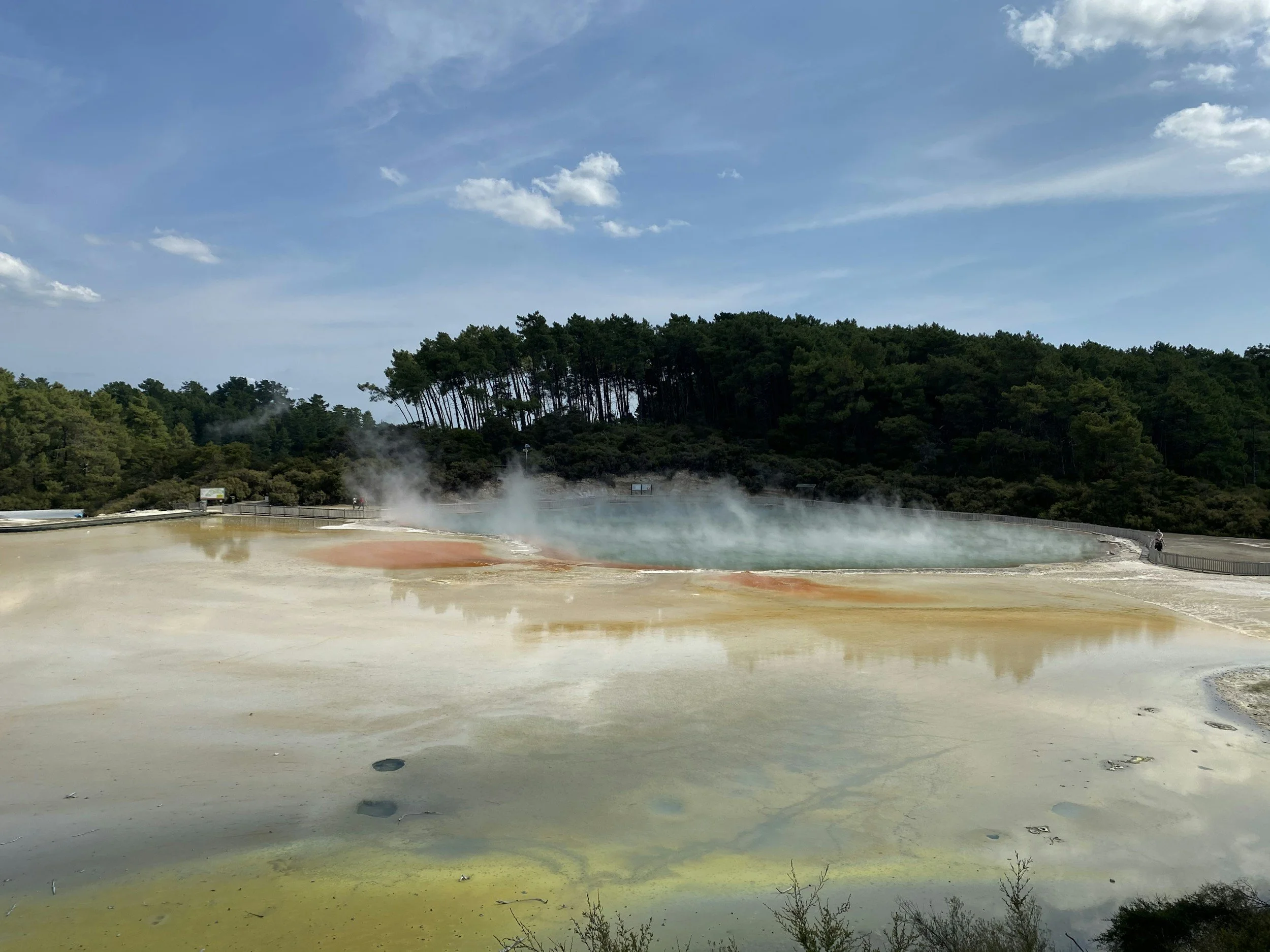 Wai-O-Tapu, Redwood & Blue Springs 