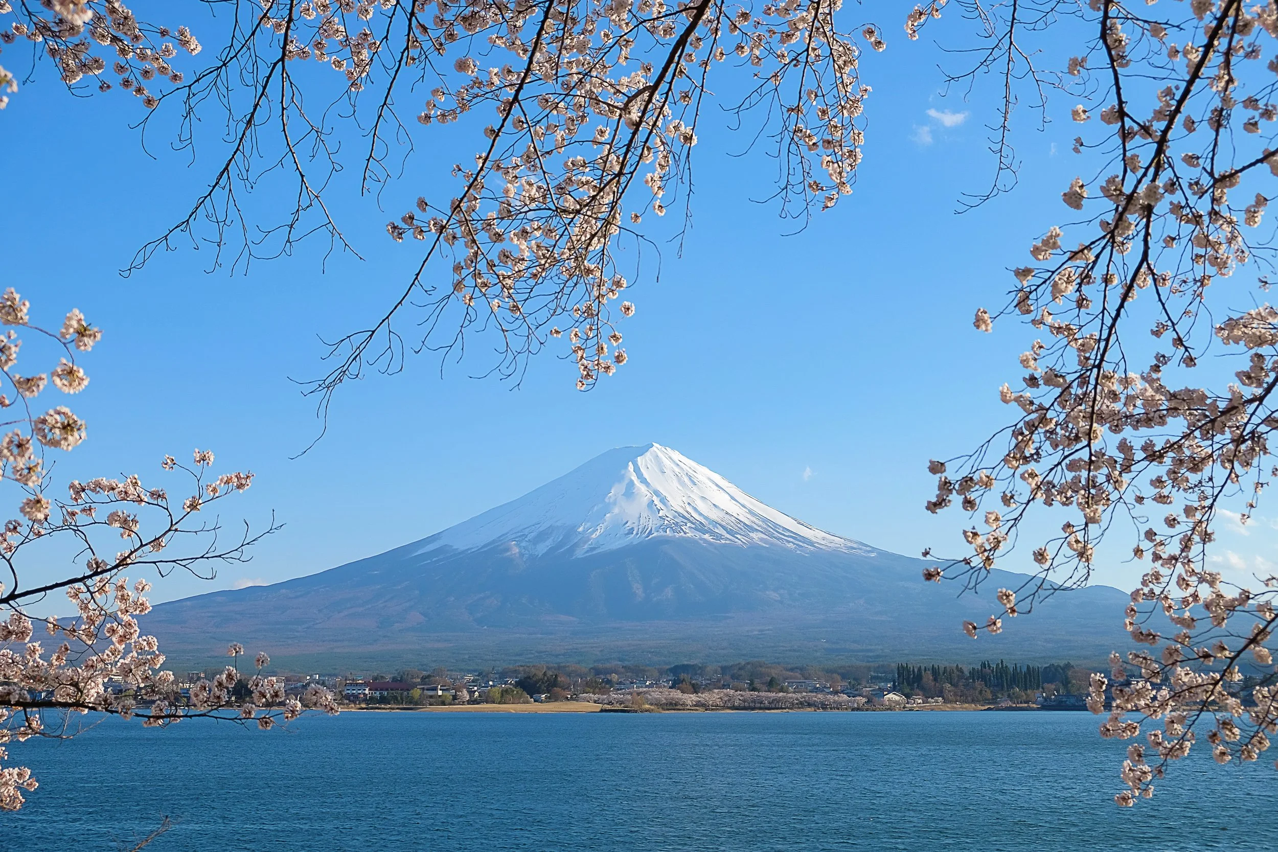 JAPAN