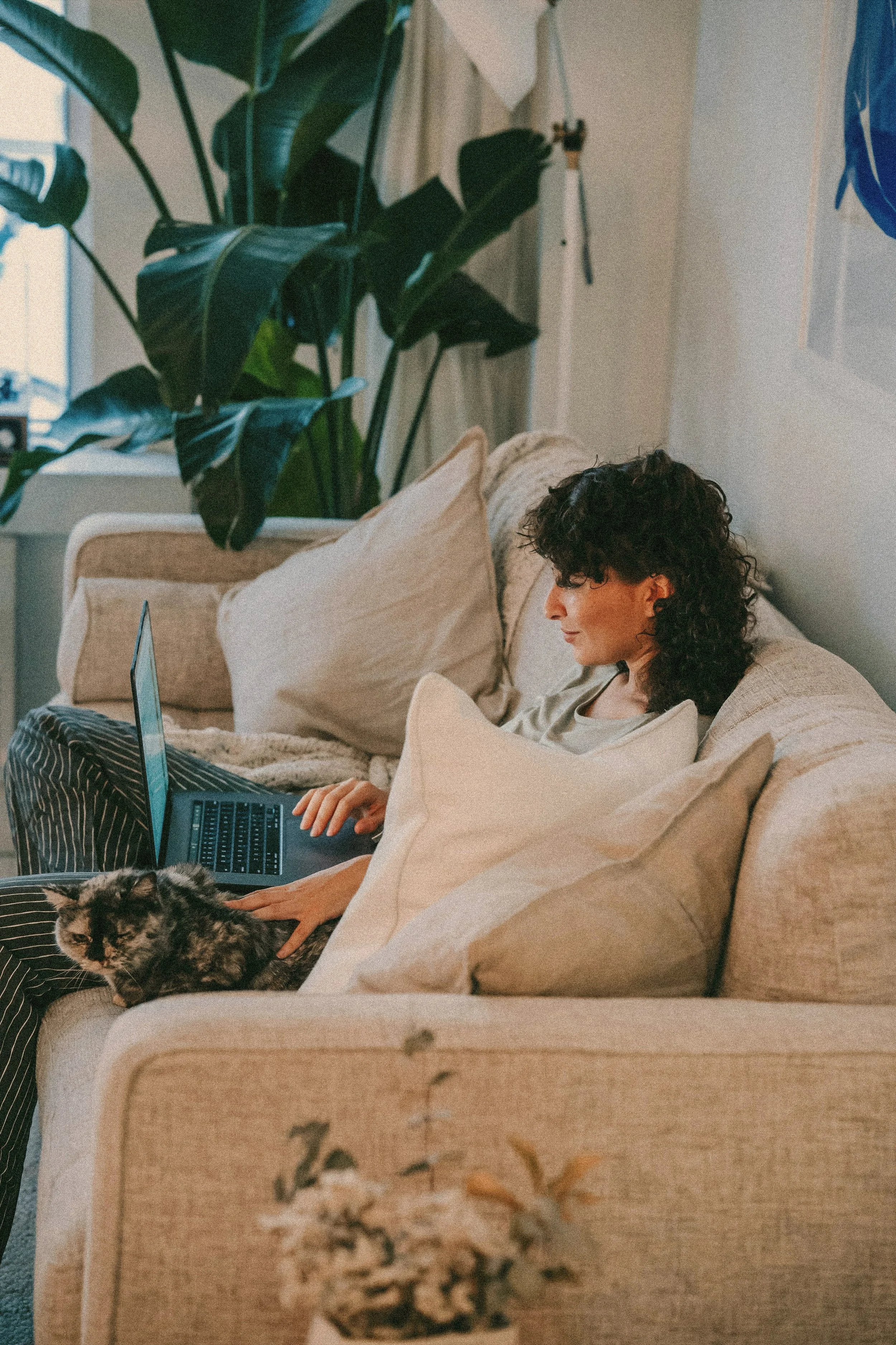 A woman with curly hair sitting on a beige sofa with beige pillows, using a laptop. A calico cat is lying on her lap. There is a large green plant in the background and a window with white blinds.