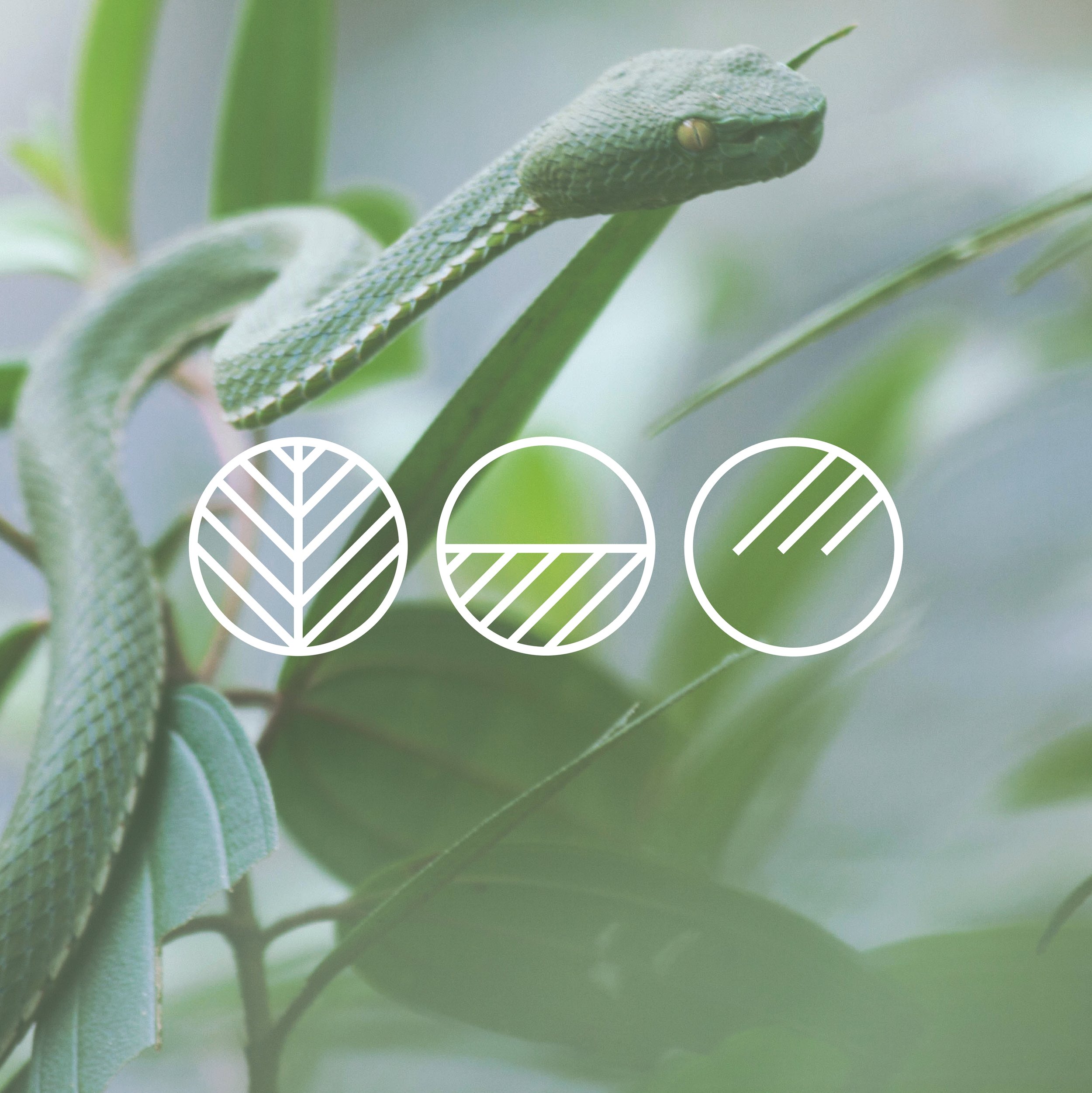 NERAL_Logo-Series-02.jpg