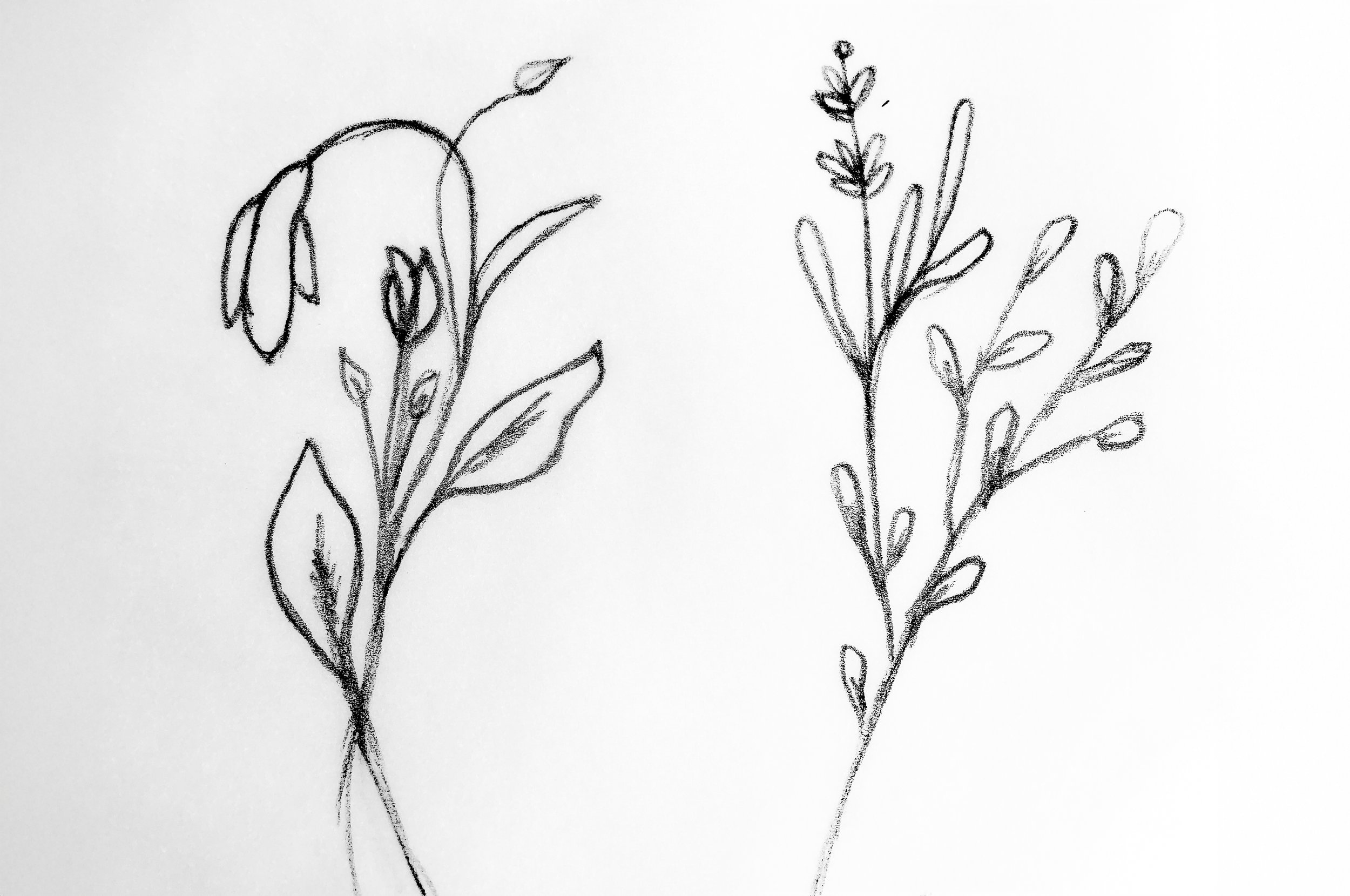 Sketches combined.jpg