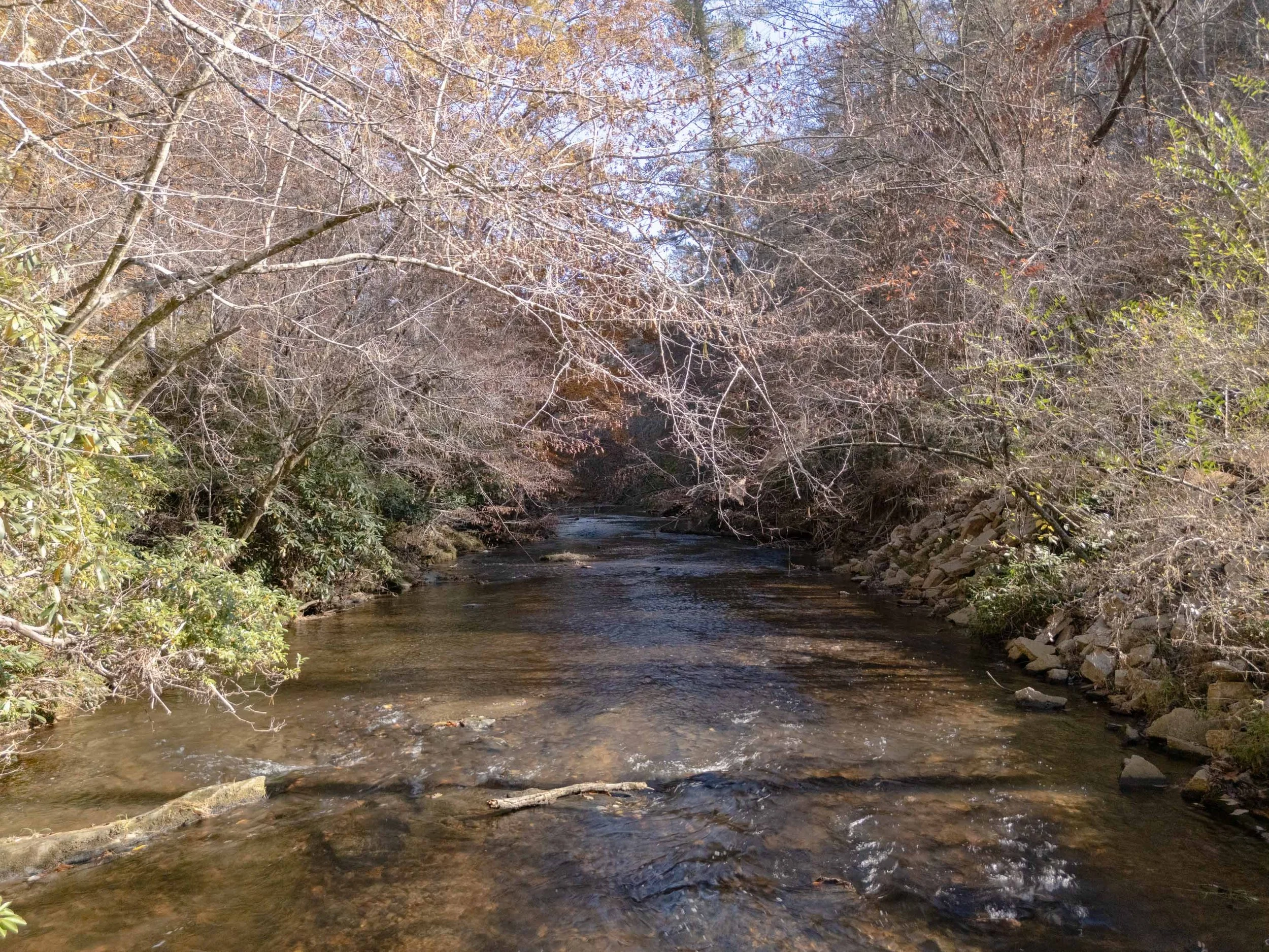 1156 Web Final-12.jpg