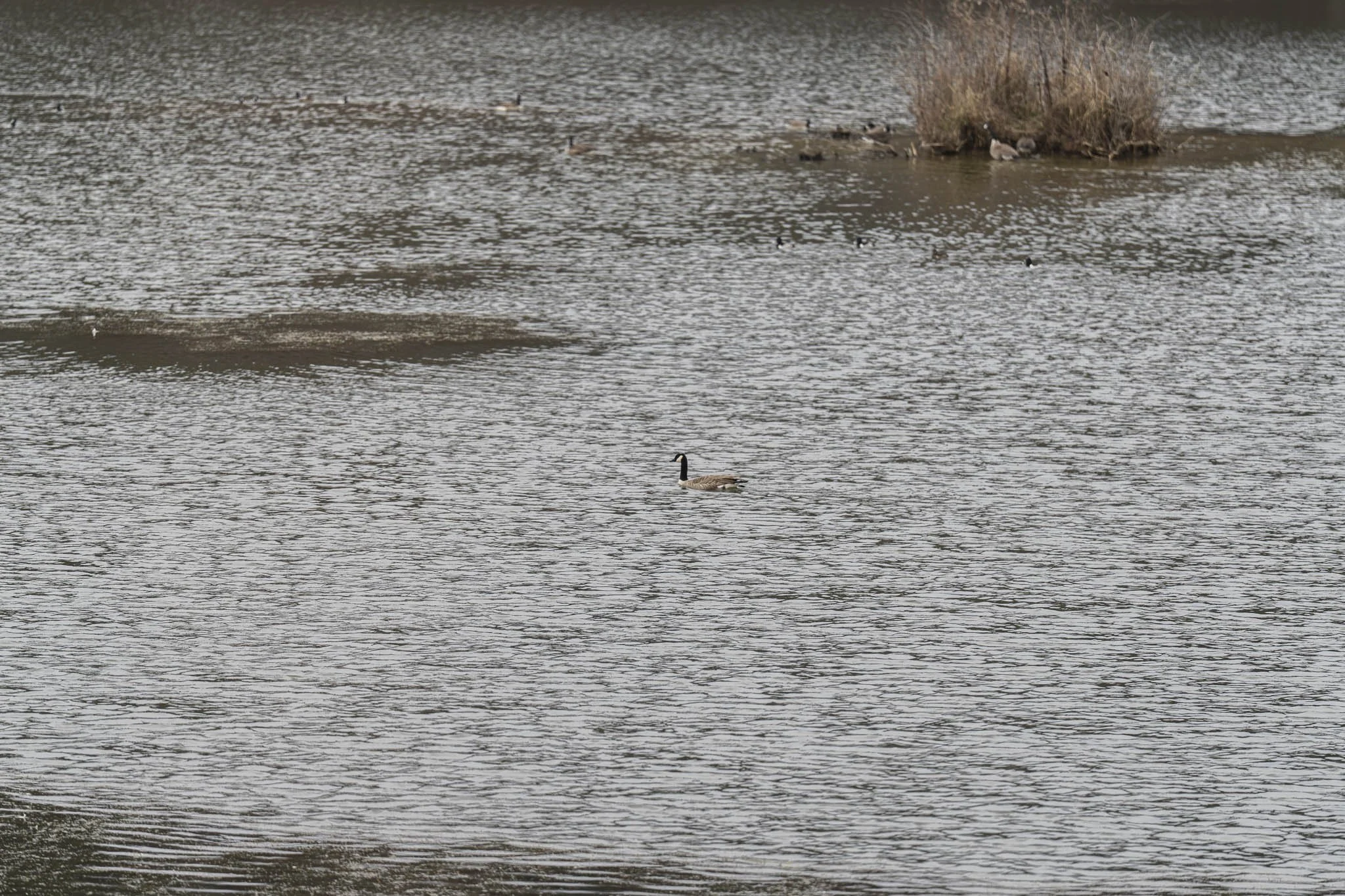 201 Mountainside Pkwy-33.jpg