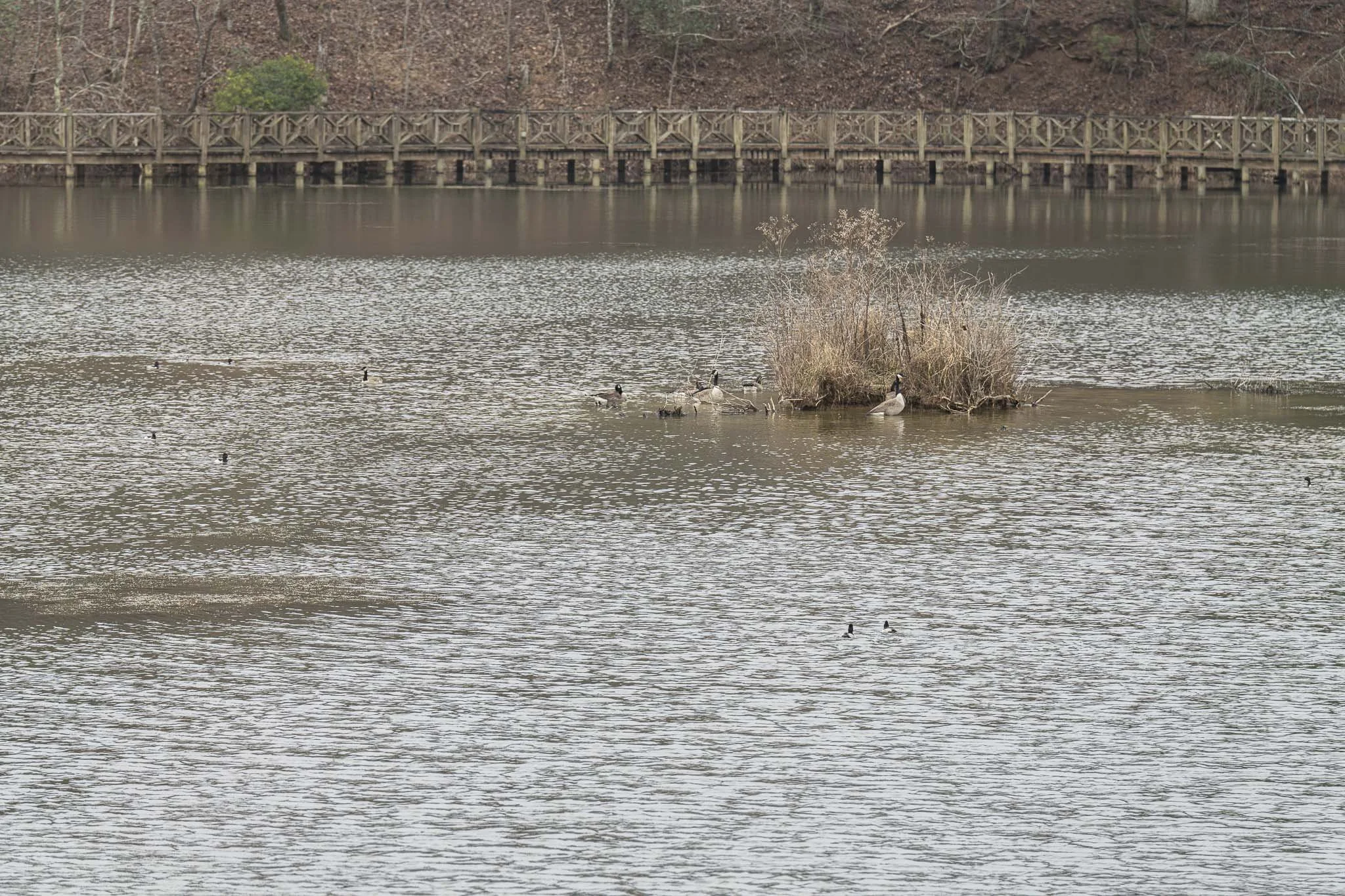 201 Mountainside Pkwy-34.jpg