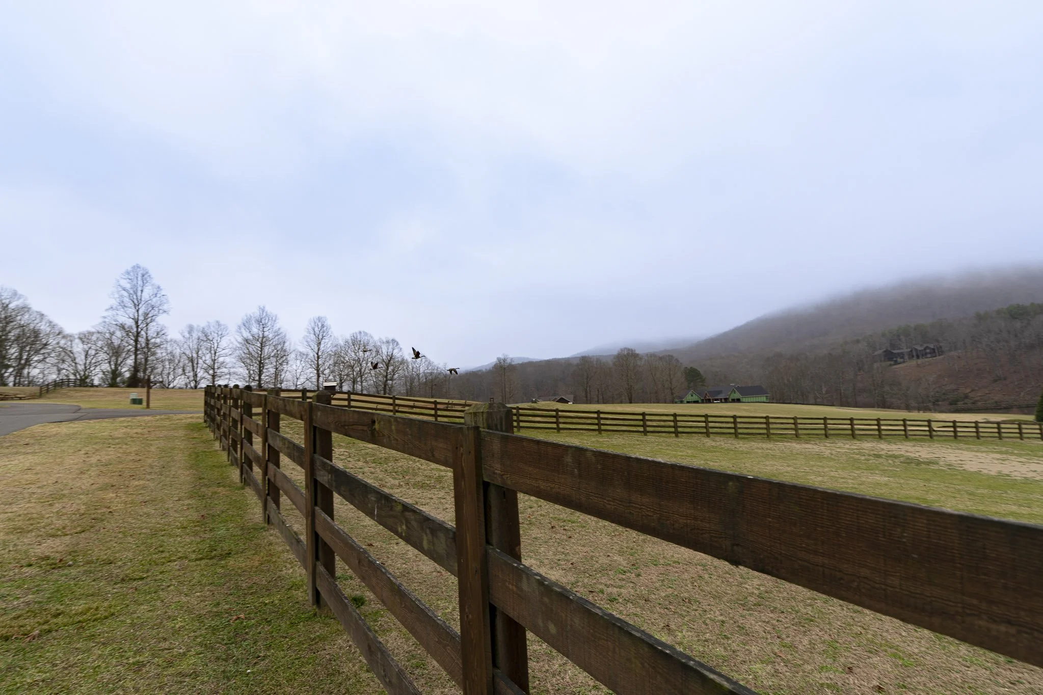 201 Mountainside Pkwy-09.jpg