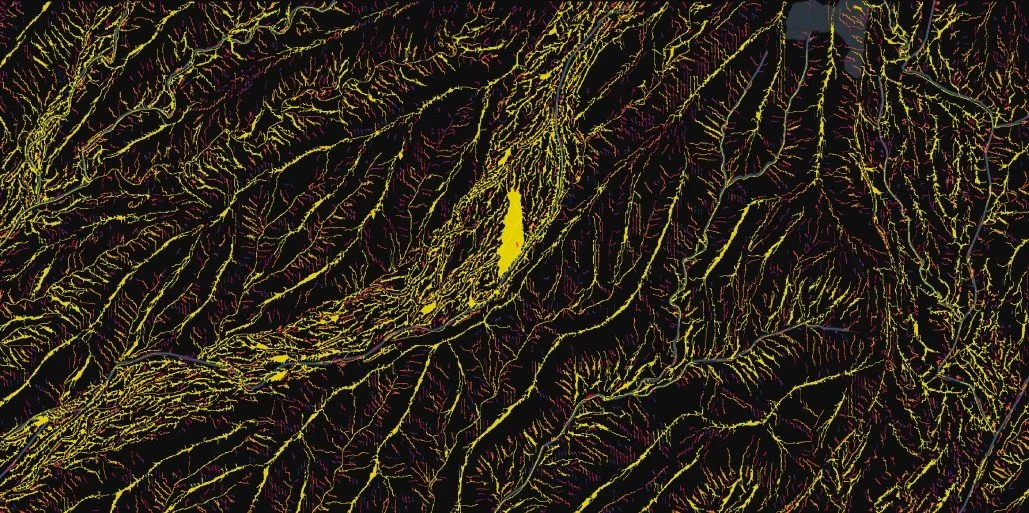 A digital map showing the tree-like network of rivers and streams in a specific region.