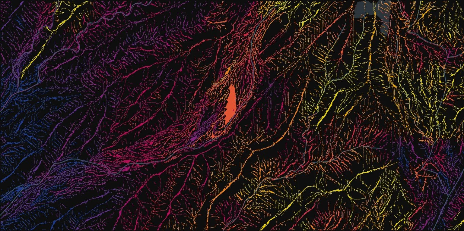Colorful digital map of a river system with branching tributaries in various colors against a black background.