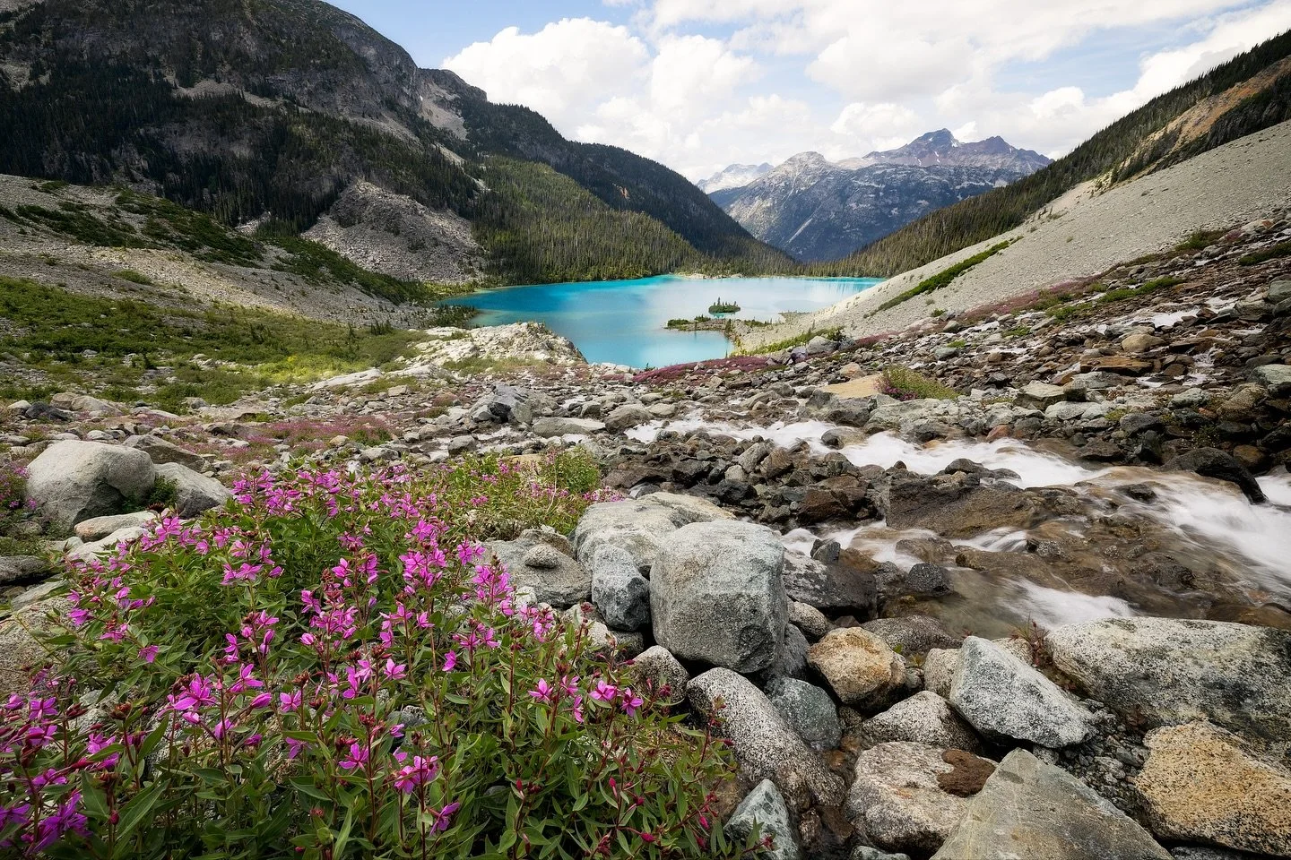 Me 🤝 wildflowers in the foreground