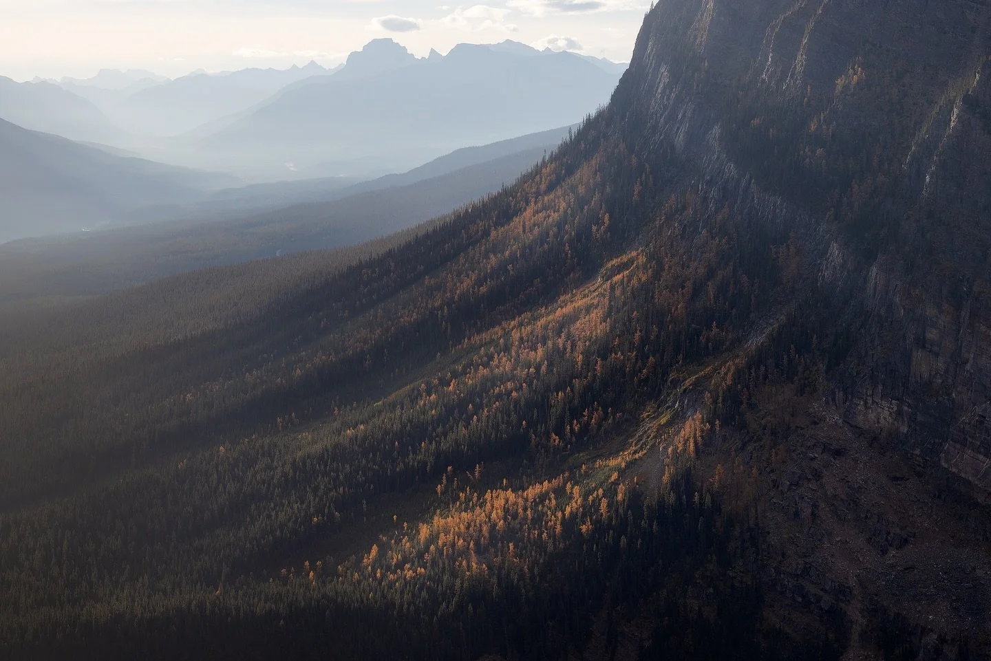 The first of many from my trip to the Rockies. Larches really put on a show in the morning light