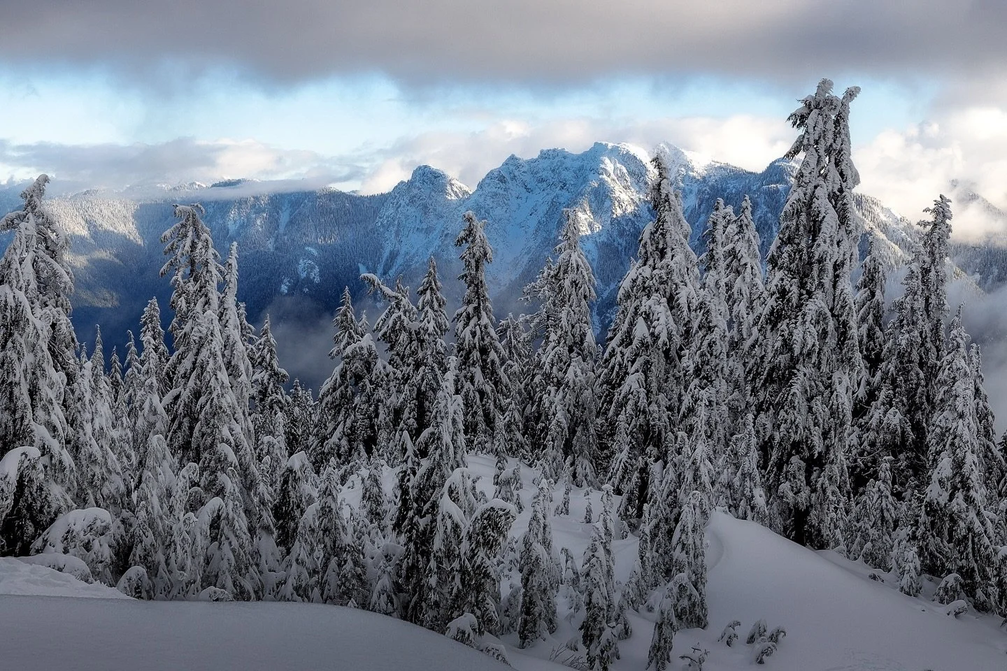 King of post-holing off trail