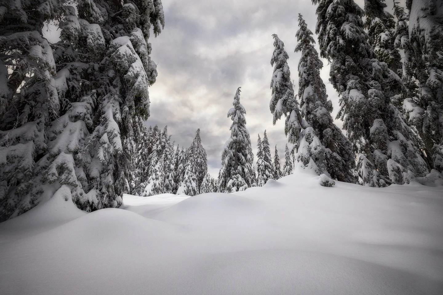 I&rsquo;ll never get tired of shooting the snow
