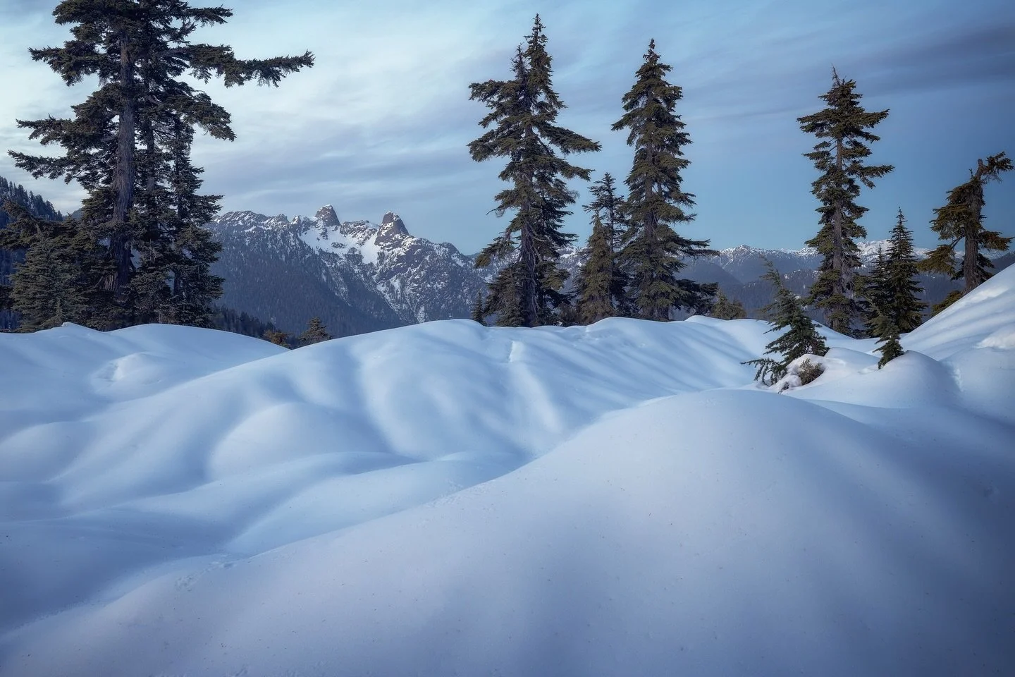 Beautiful blue evening at Cypress. Been waiting for a good shot of the Lions for the while