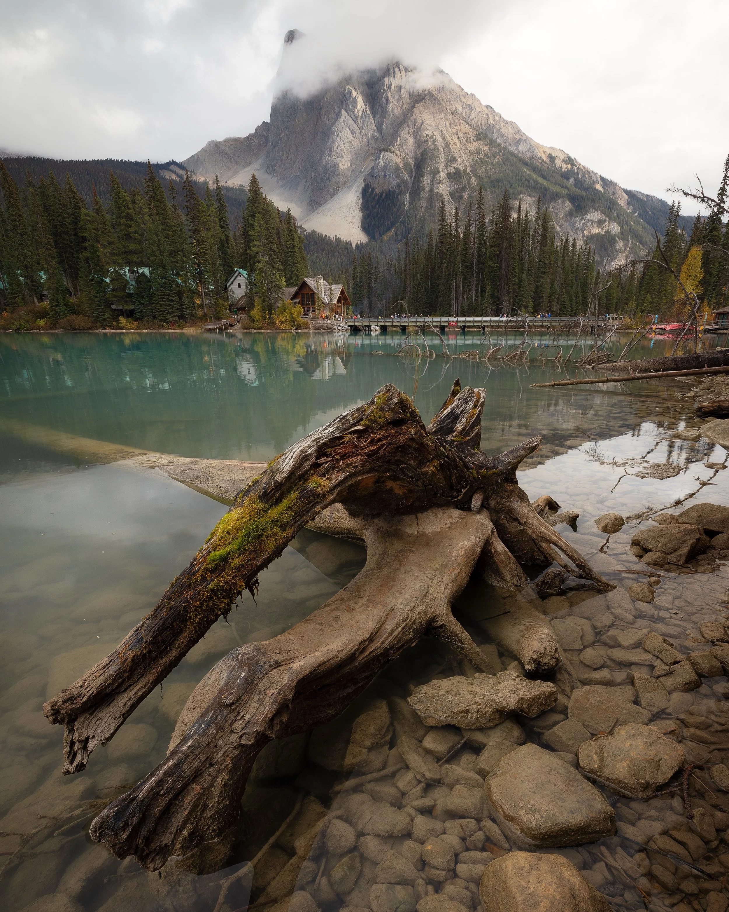 Took this last year on a fall trip to the Rockies. 

I grew a lot as a photographer between this trip and my last and I think it really shows in both the subtle editing and inclusion of foreground elements. 

This stands as my favourite image of Emer