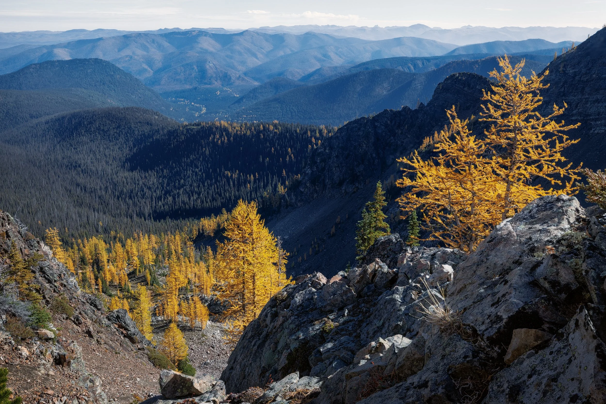 This line of larch trees spanned from just below the ridge all the way into the valley

Very lucky to enjoy my McMuffin with this kind of view