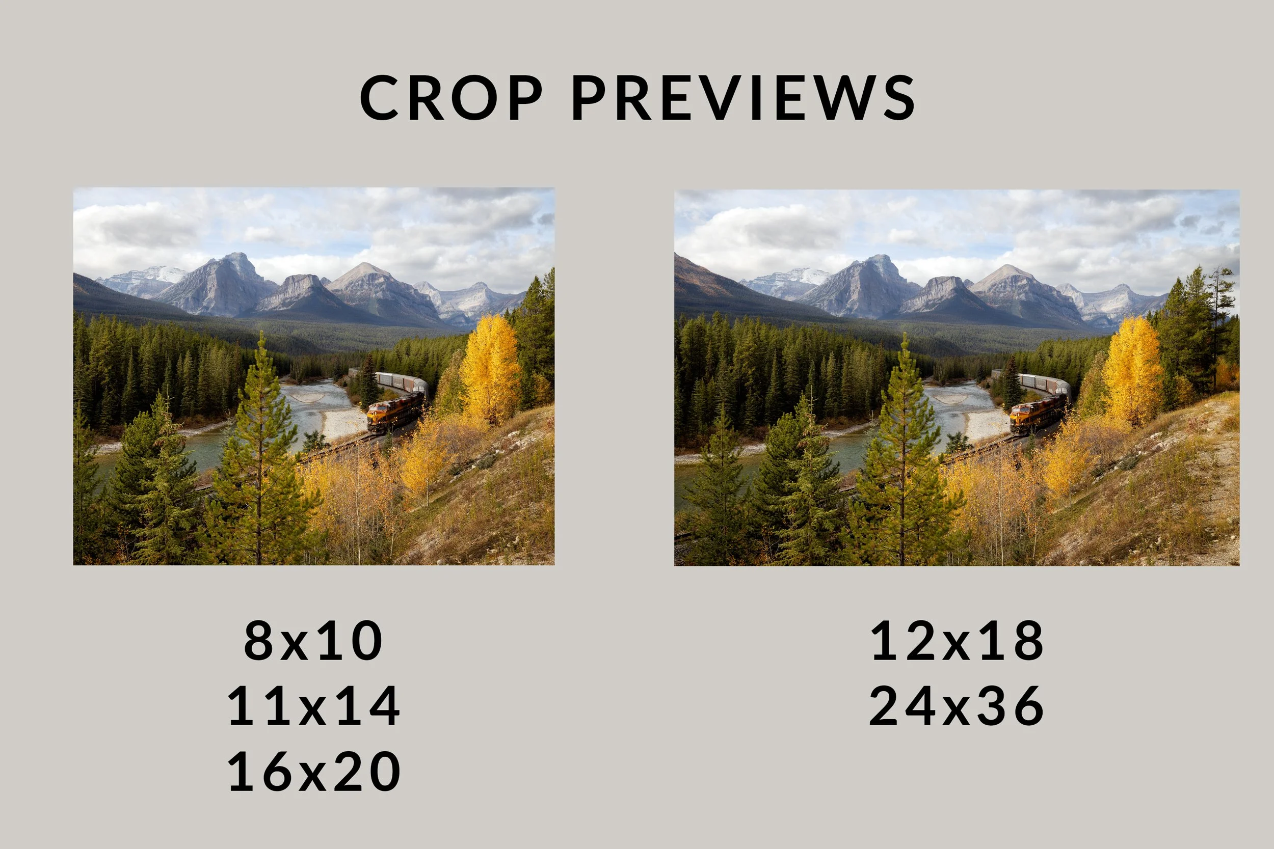 Autumn-Express-Crop-Previews.jpg