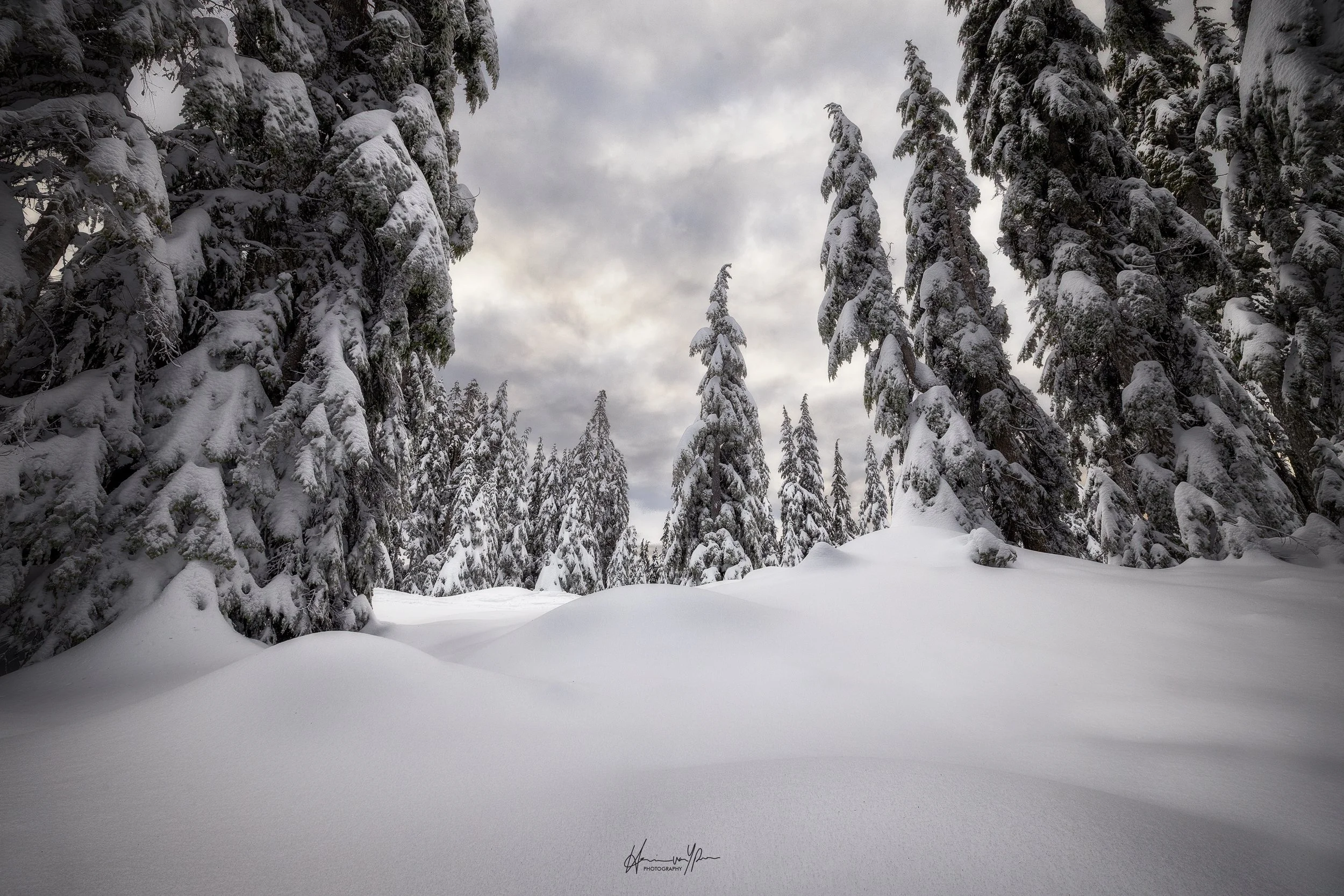 Little Beehive Lookout