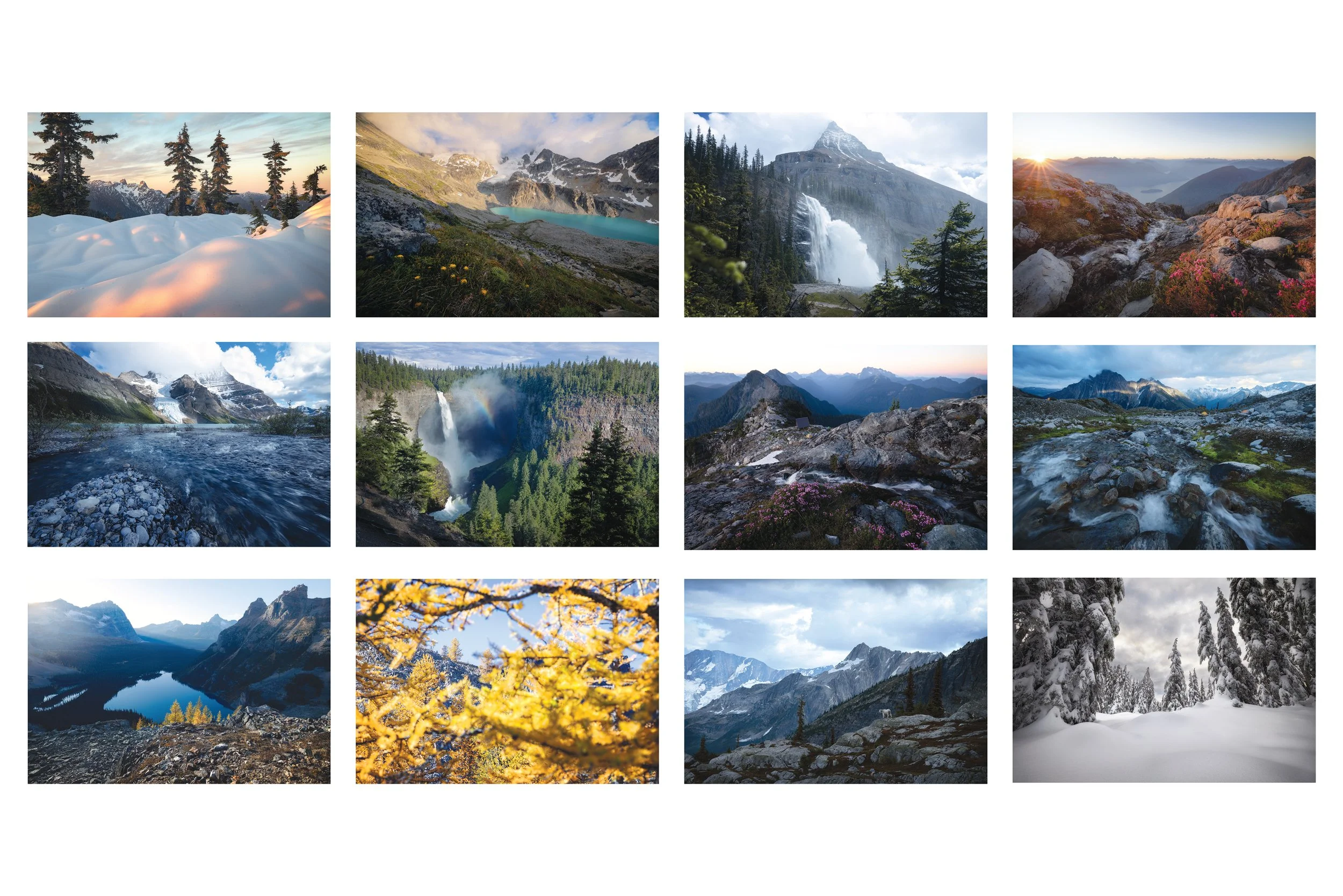 Image-Previews.jpg