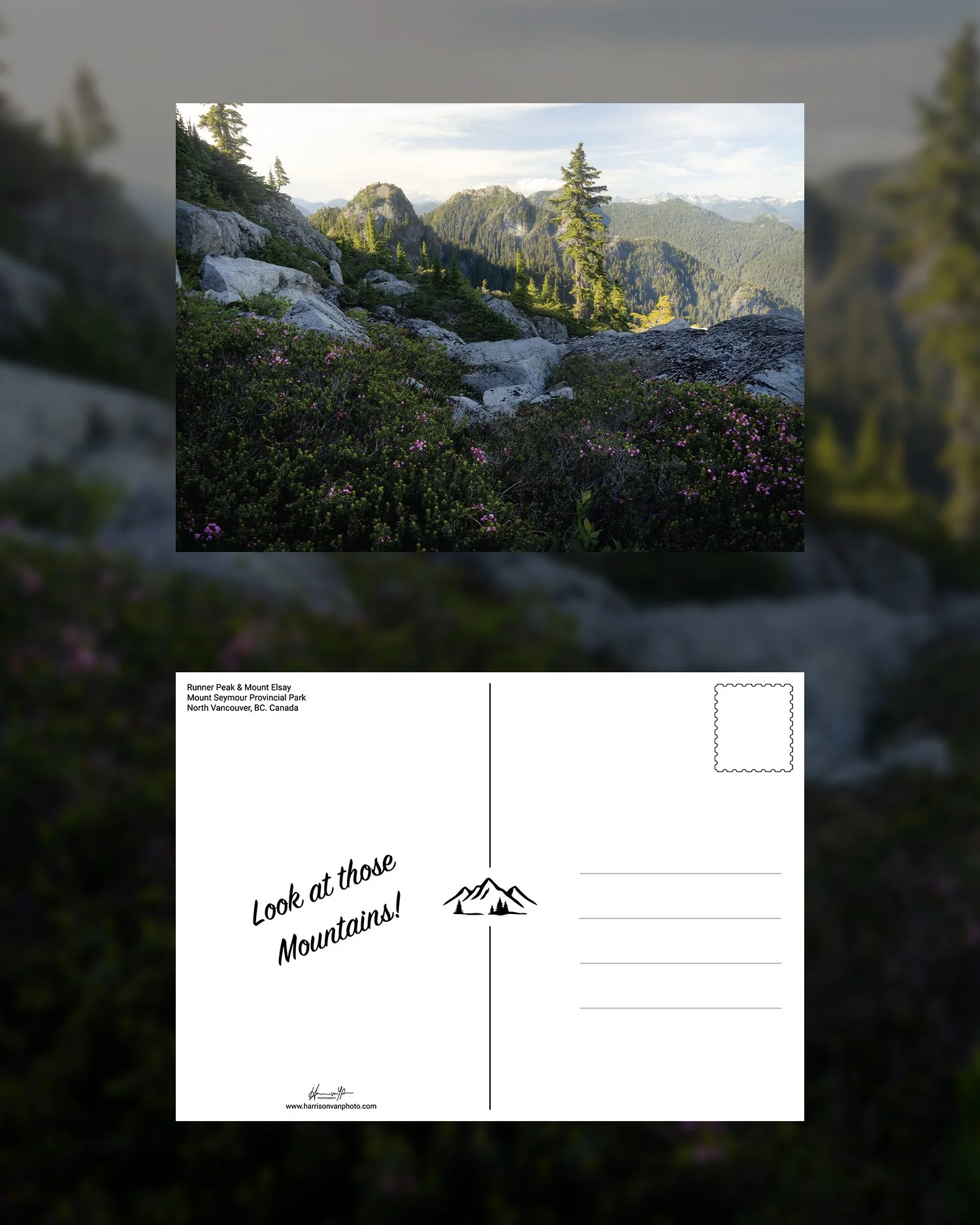 Mt-Seymour-Postcard-Preview.jpg