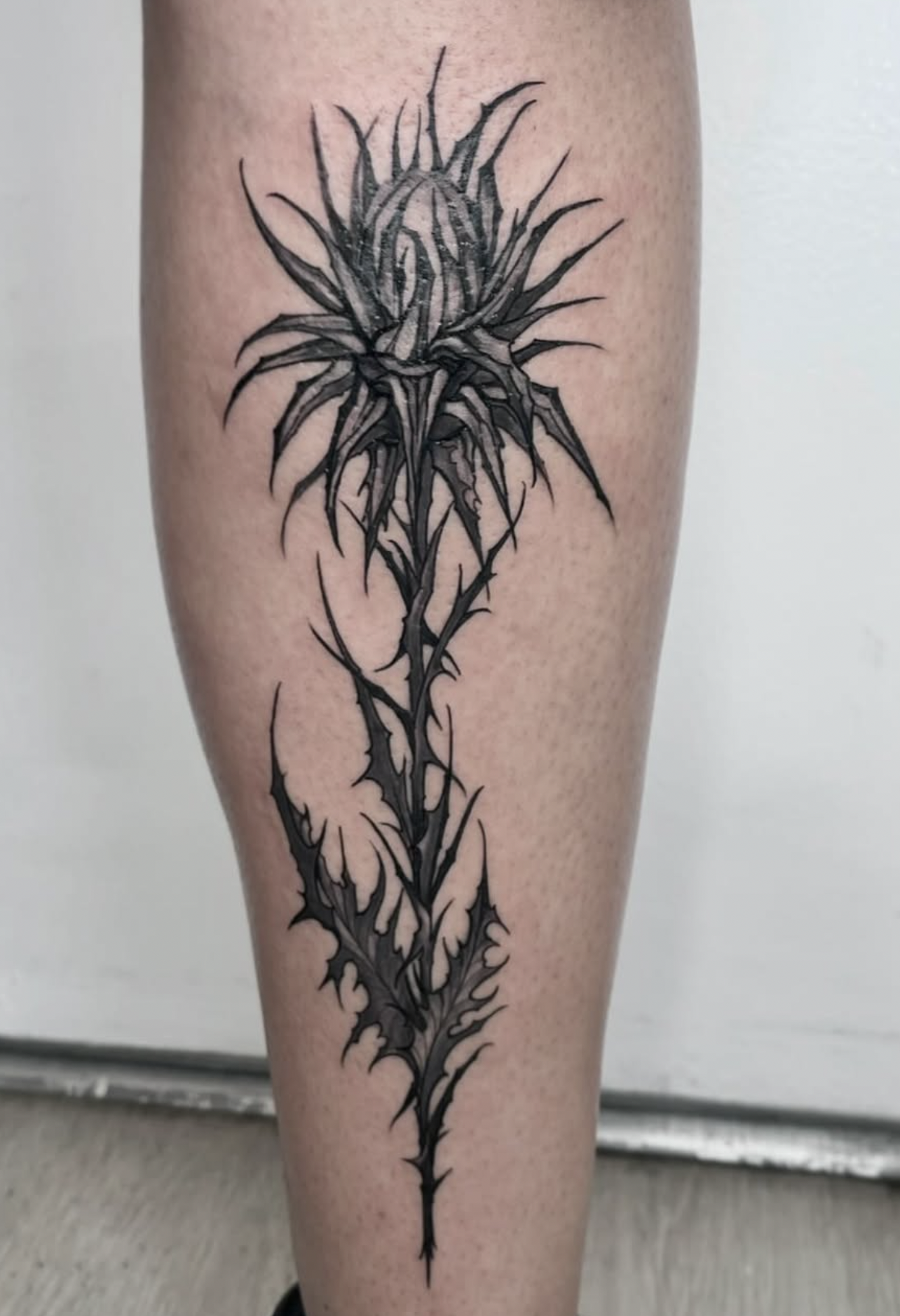 Screen Shot 2026-03-12 at 9.21.09 PM.png