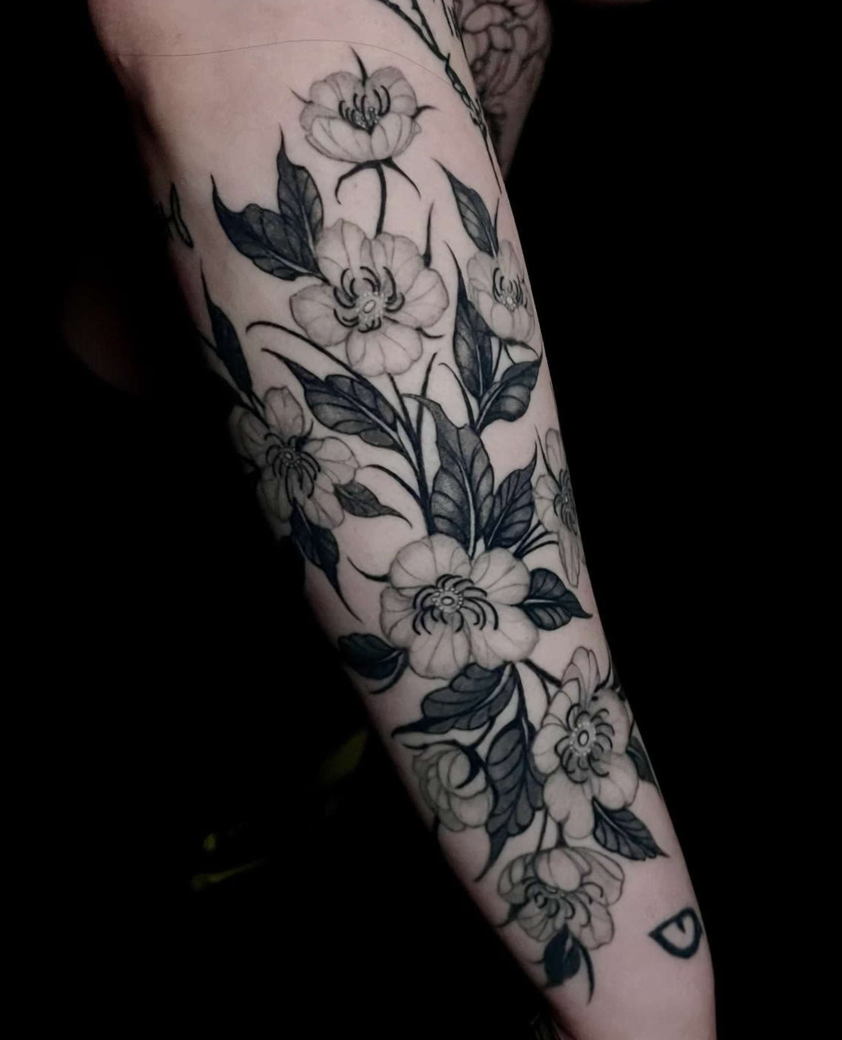 Screen Shot 2026-03-12 at 9.20.30 PM.png