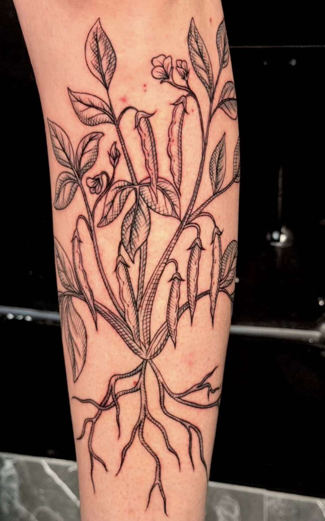 Screen Shot 2026-03-28 at 12.27.20 PM.png