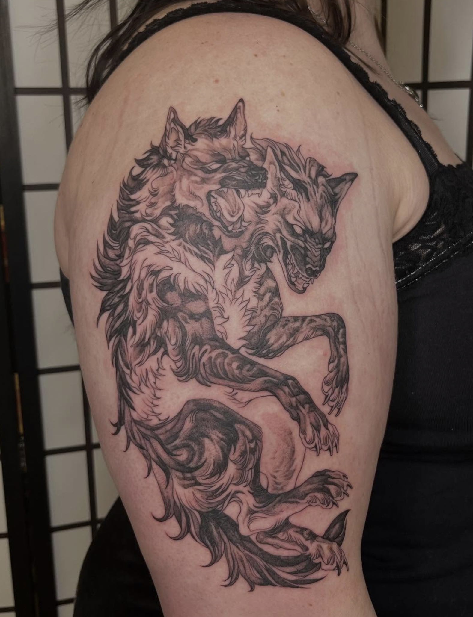 Screen Shot 2026-03-12 at 8.52.57 PM.png