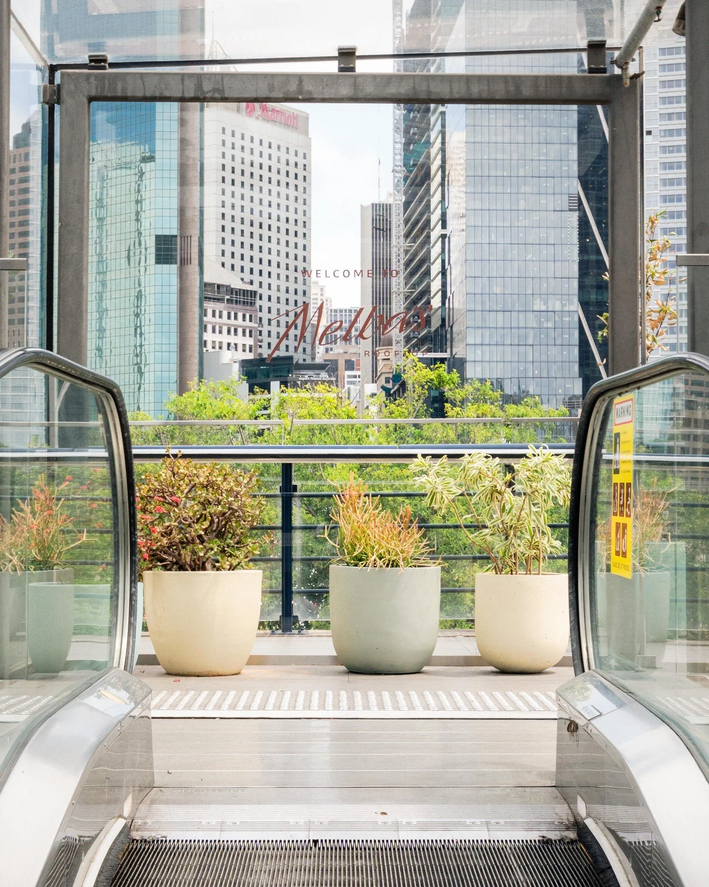 This way to the rooftop &uarr;
Your weekend plans start at Melba&rsquo;s.