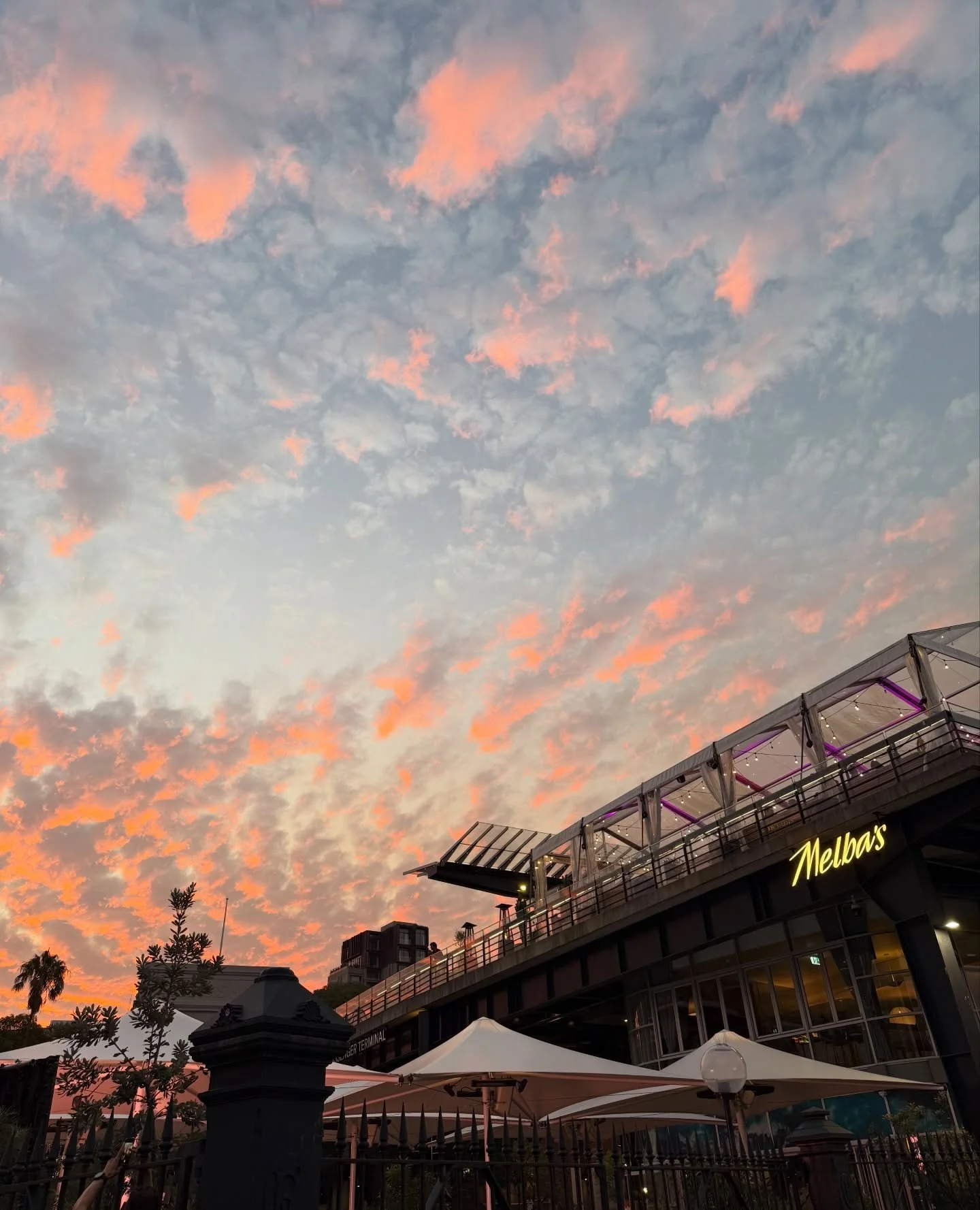 Elevate your weekend at Melba&rsquo;s Rooftop, perched above @cruise.barandrestaurant. Open Thursday to Sunday for Australian inspired eats and cocktails 🍸