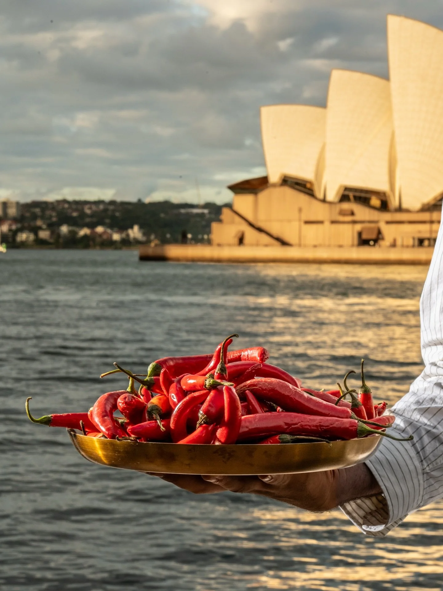 Something hot is coming to Melba&rsquo;s Rooftop 🌶️