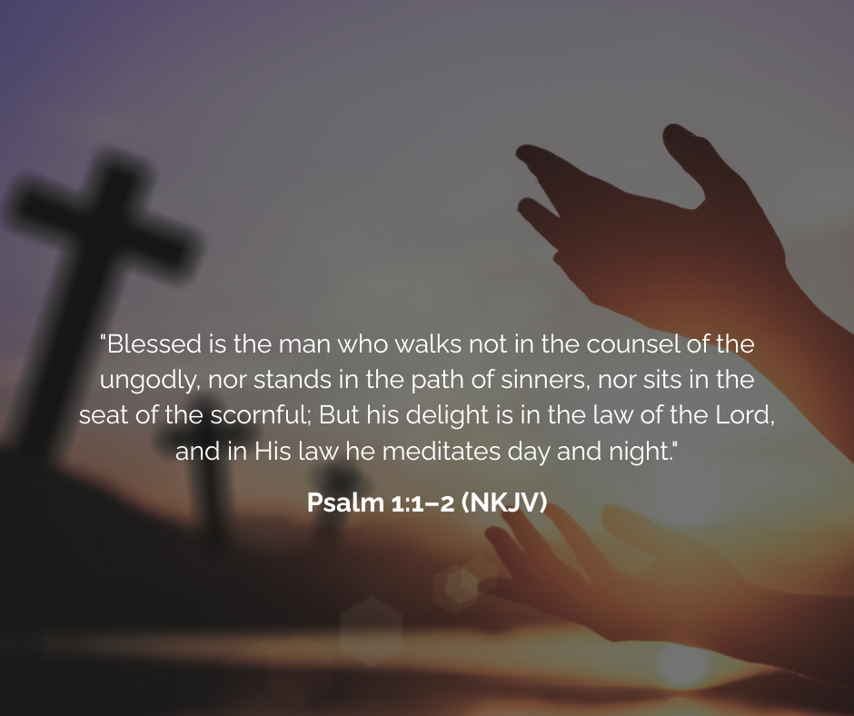 Rooted in Grace: Finding Stability in a Busy World