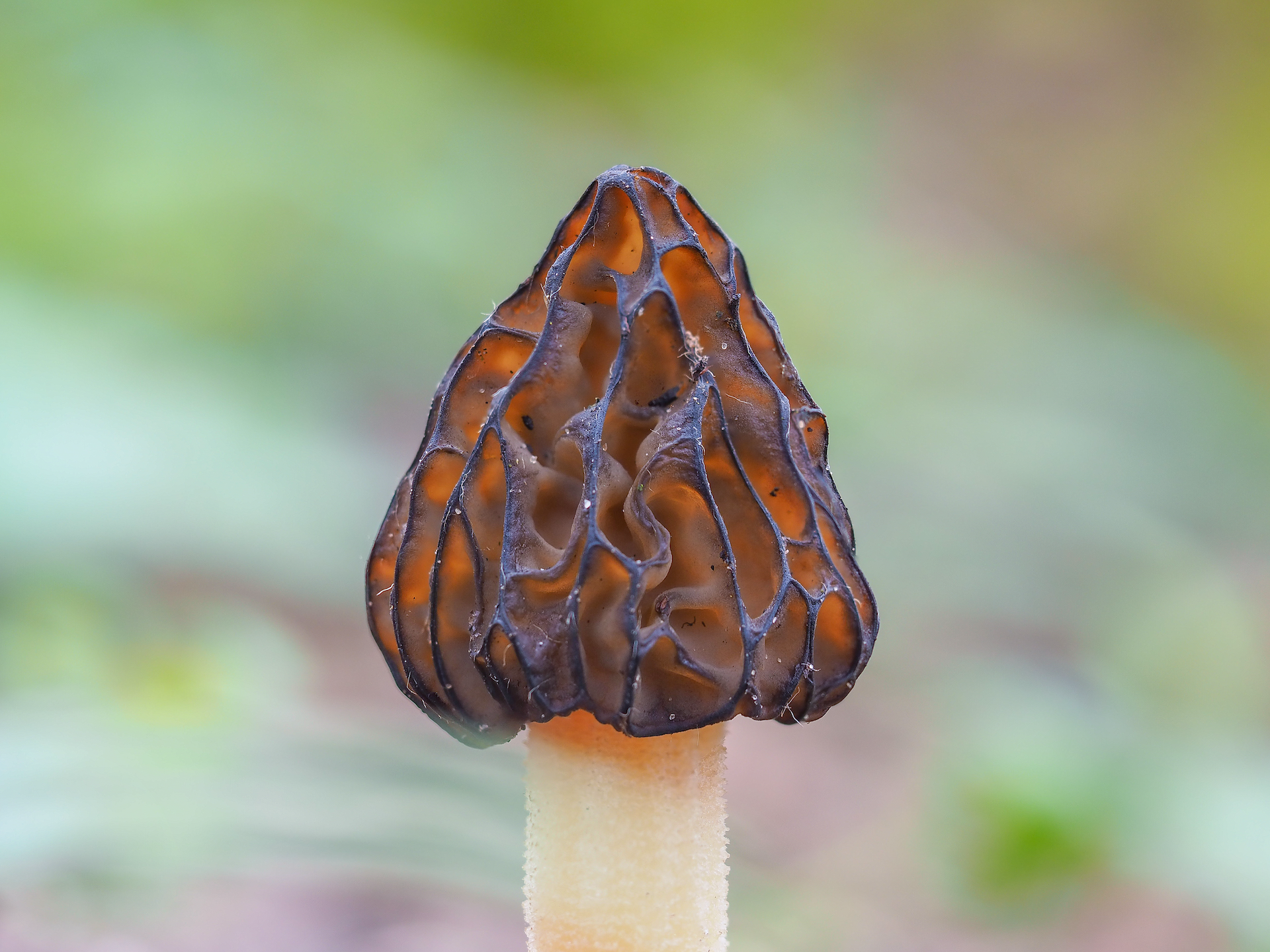 rzandvliet_morielje6B9888E4-6D8E-4C88-A754-E51F98F12081 3.PNG